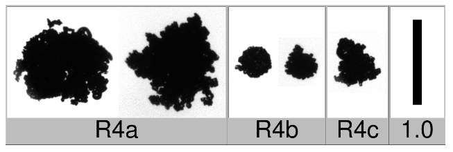 Applsci 10 01163 i012