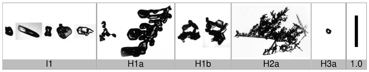 Applsci 10 01163 i013