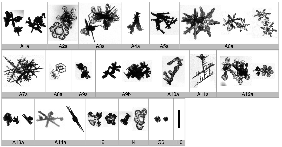 Applsci 10 01163 i014