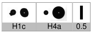 Applsci 10 01163 i015