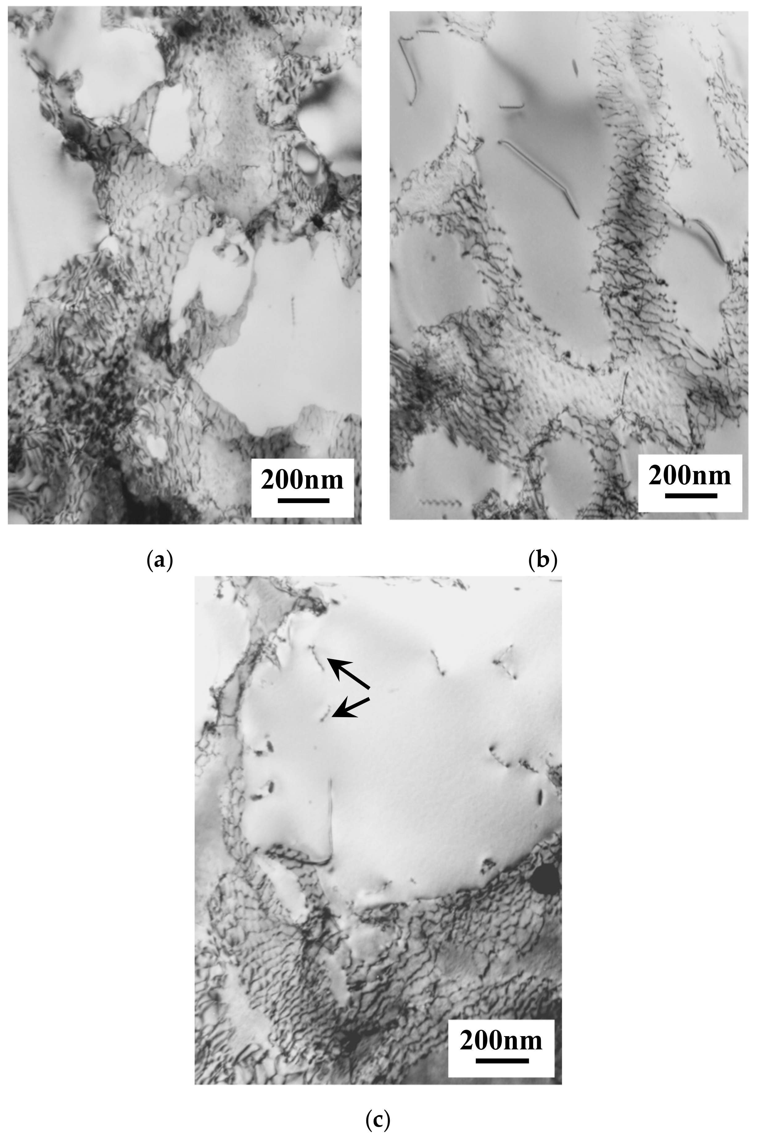 Applsci 10 01187 g005