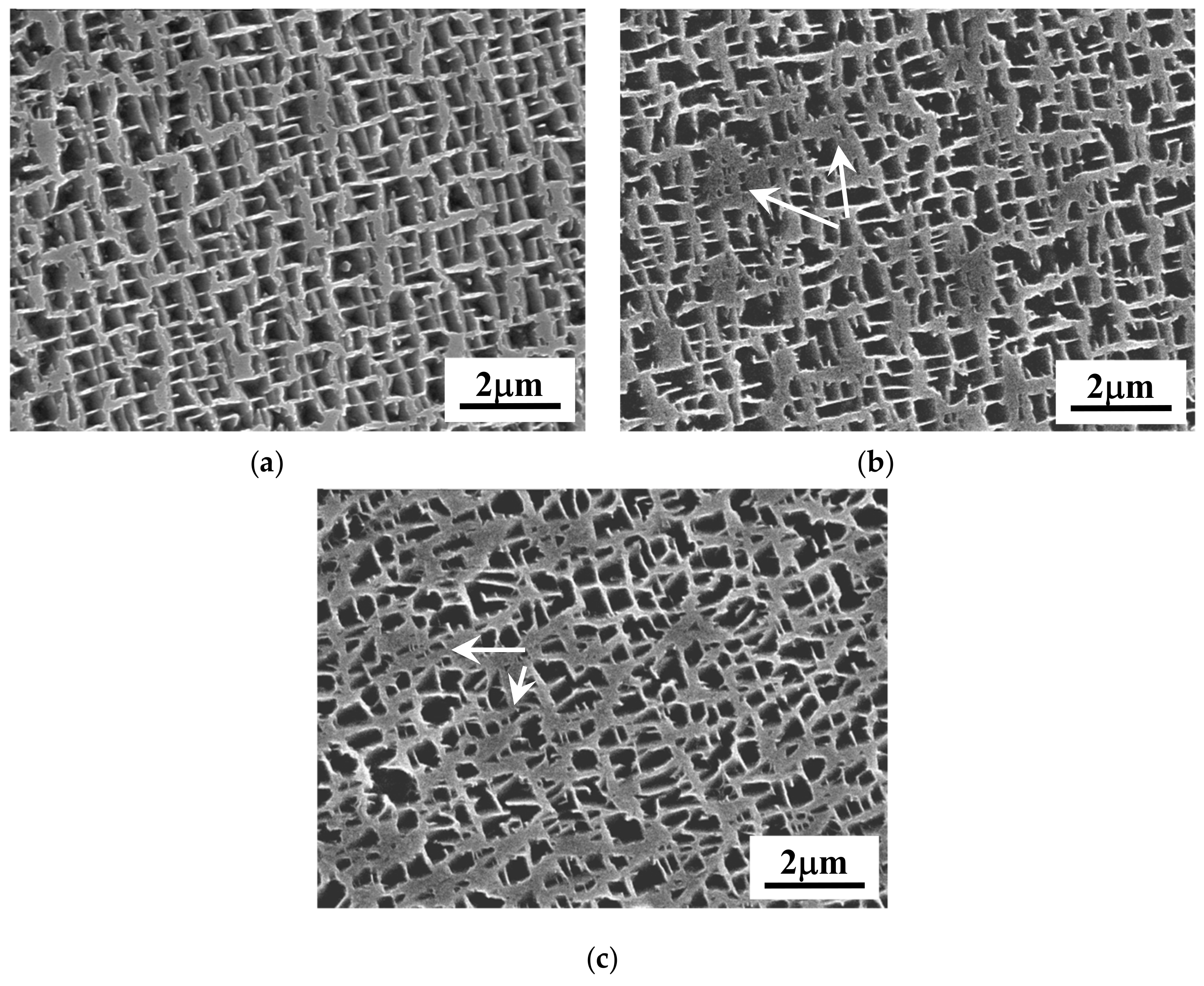 Applsci 10 01187 g006