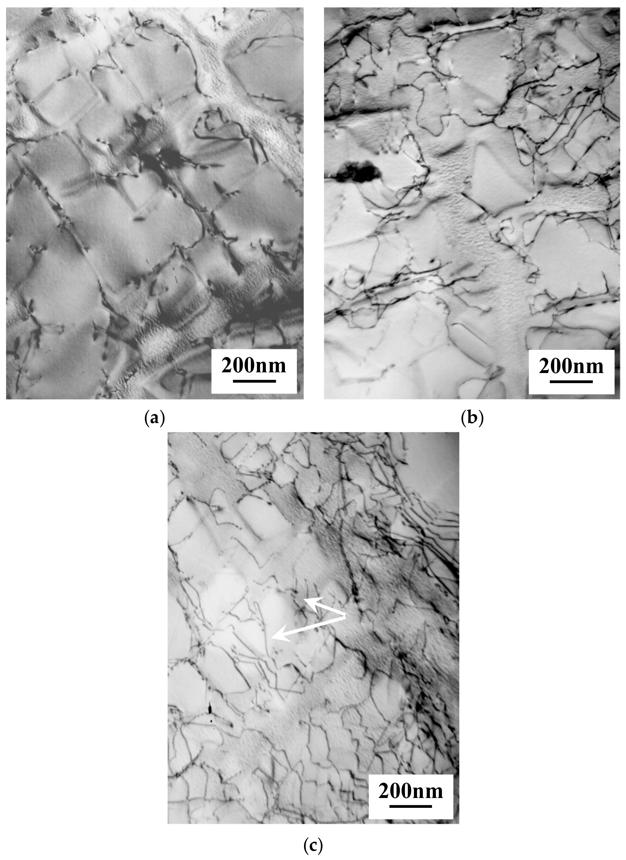 Applsci 10 01187 g010