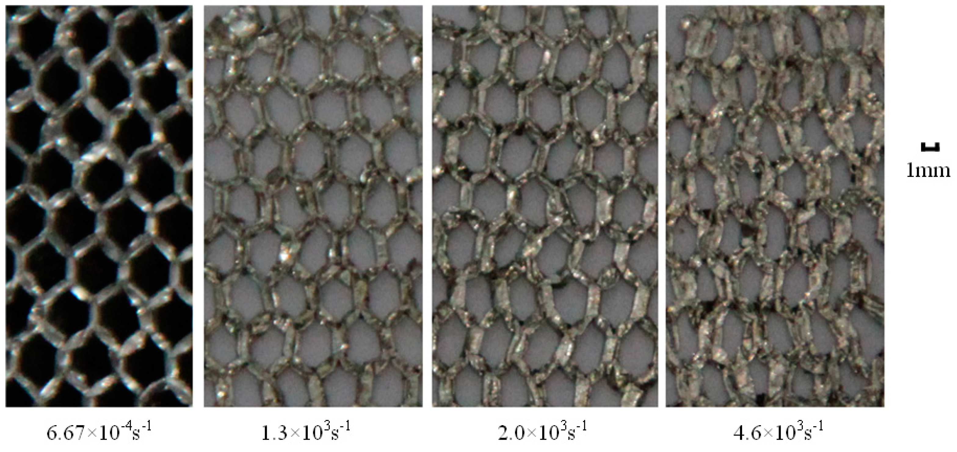 Applsci 10 01188 g021