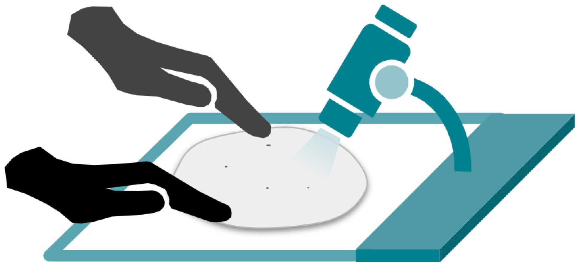 Applsci 10 01206 g005 Applsci 10 01206 g005