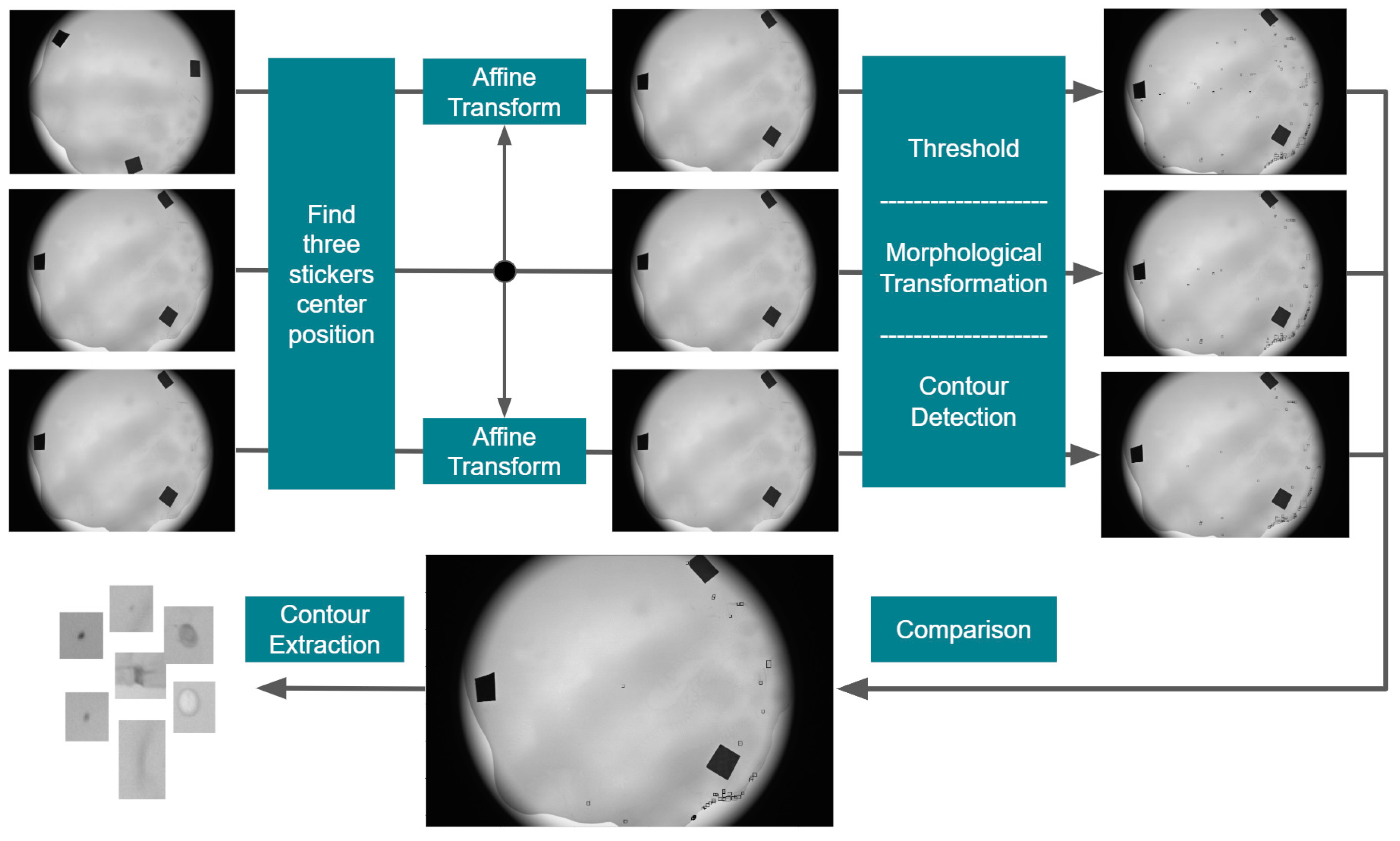 Applsci 10 01206 g011 Applsci 10 01206 g011