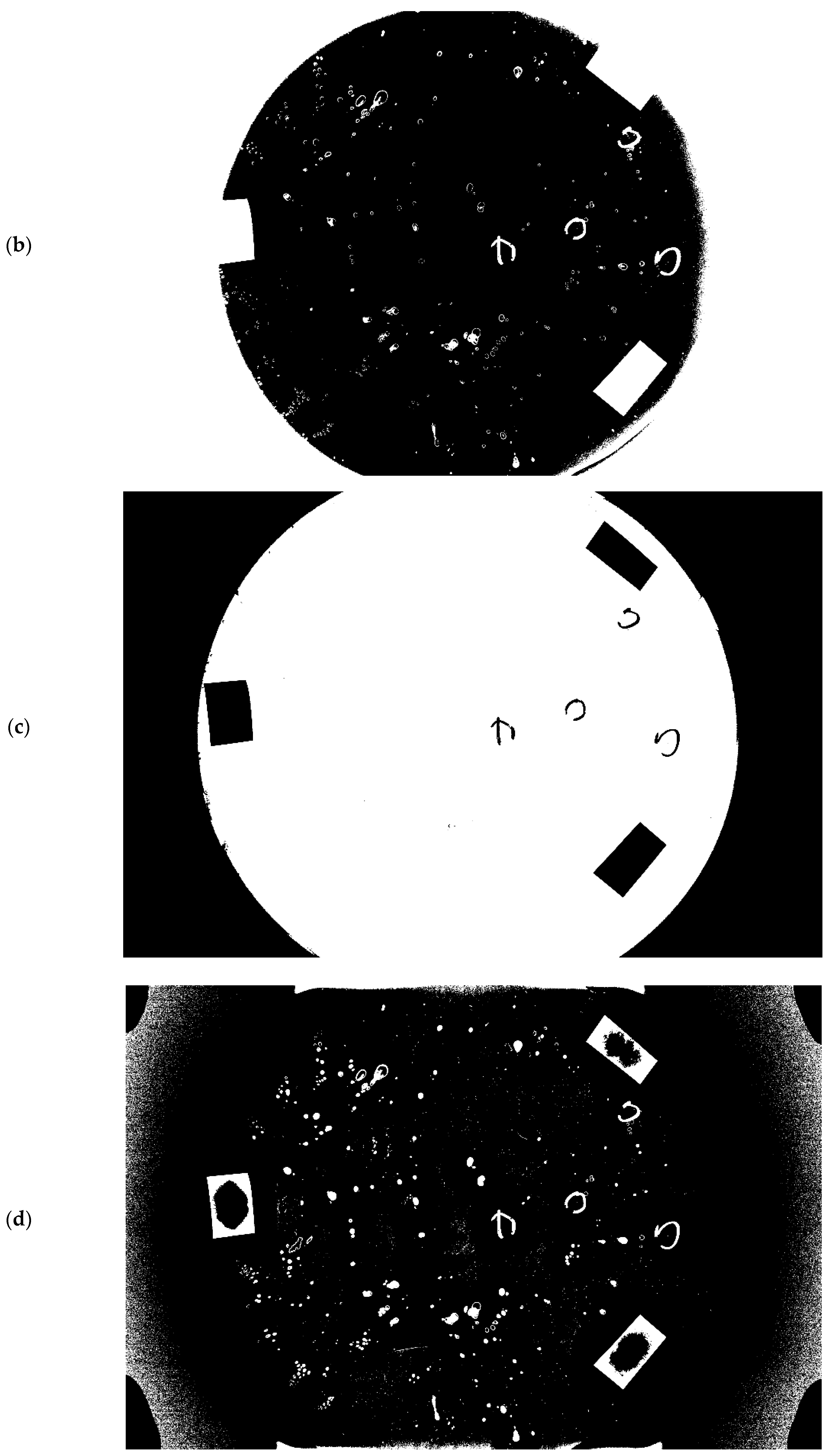 Applsci 10 01206 g012b Applsci 10 01206 g012b