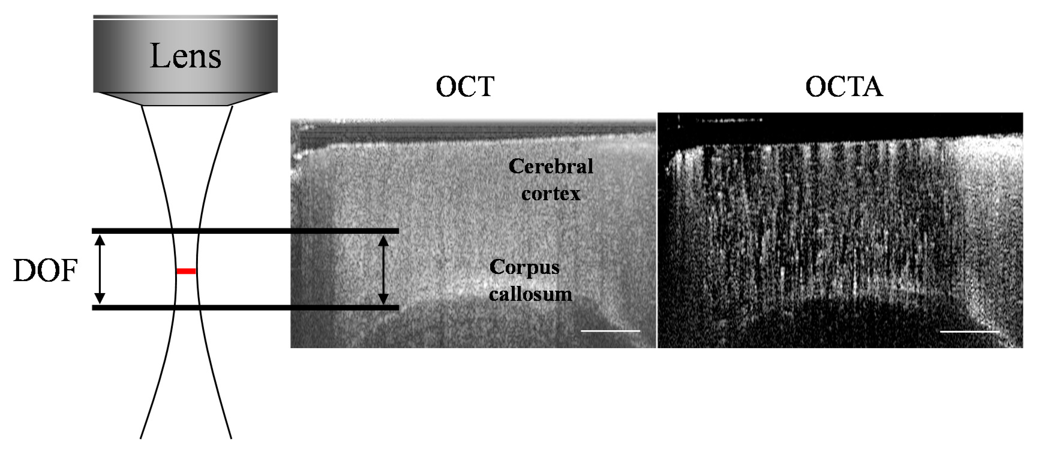 Applsci 10 01210 g001 Applsci 10 01210 g001