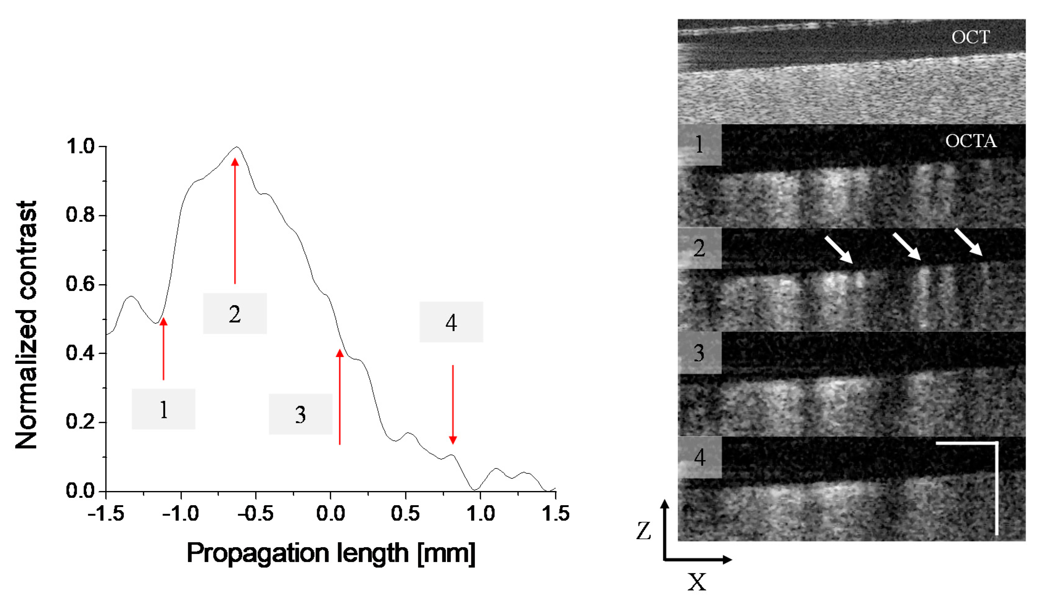 Applsci 10 01210 g003 Applsci 10 01210 g003