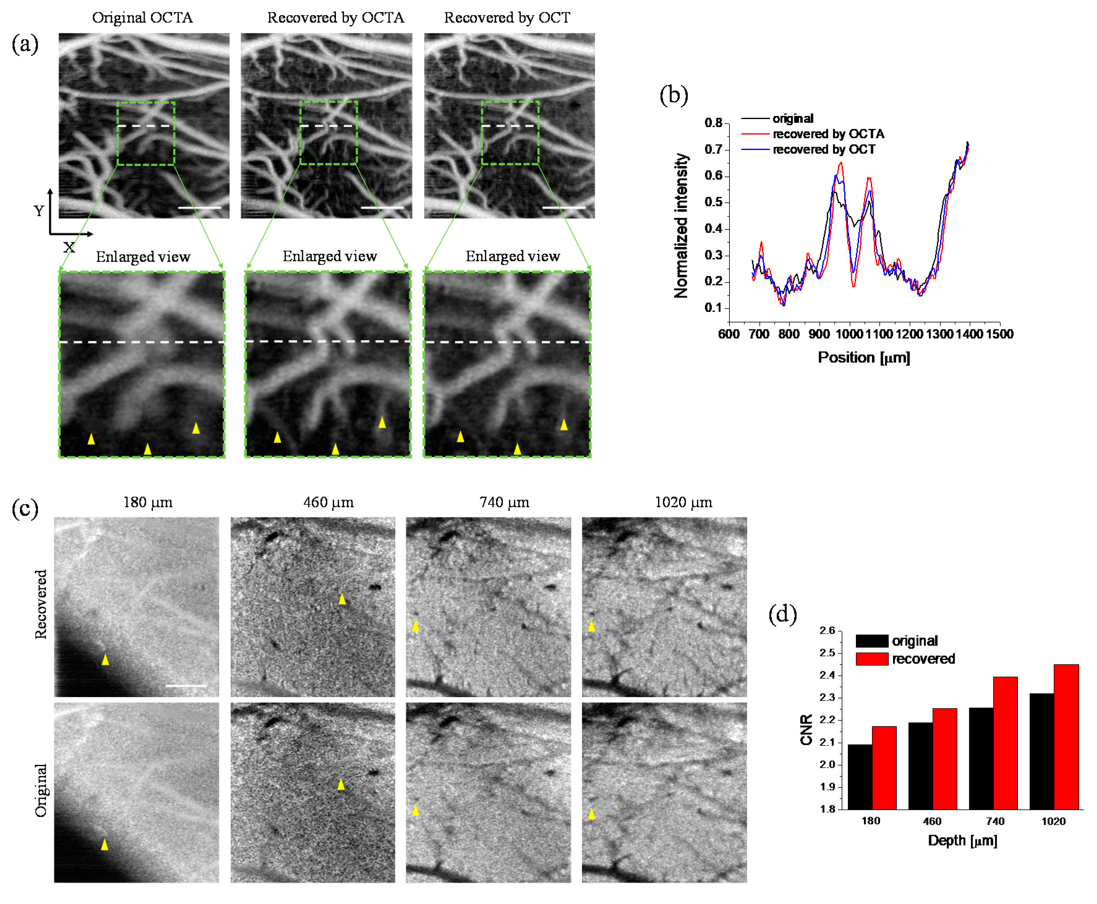 Applsci 10 01210 g005 Applsci 10 01210 g005