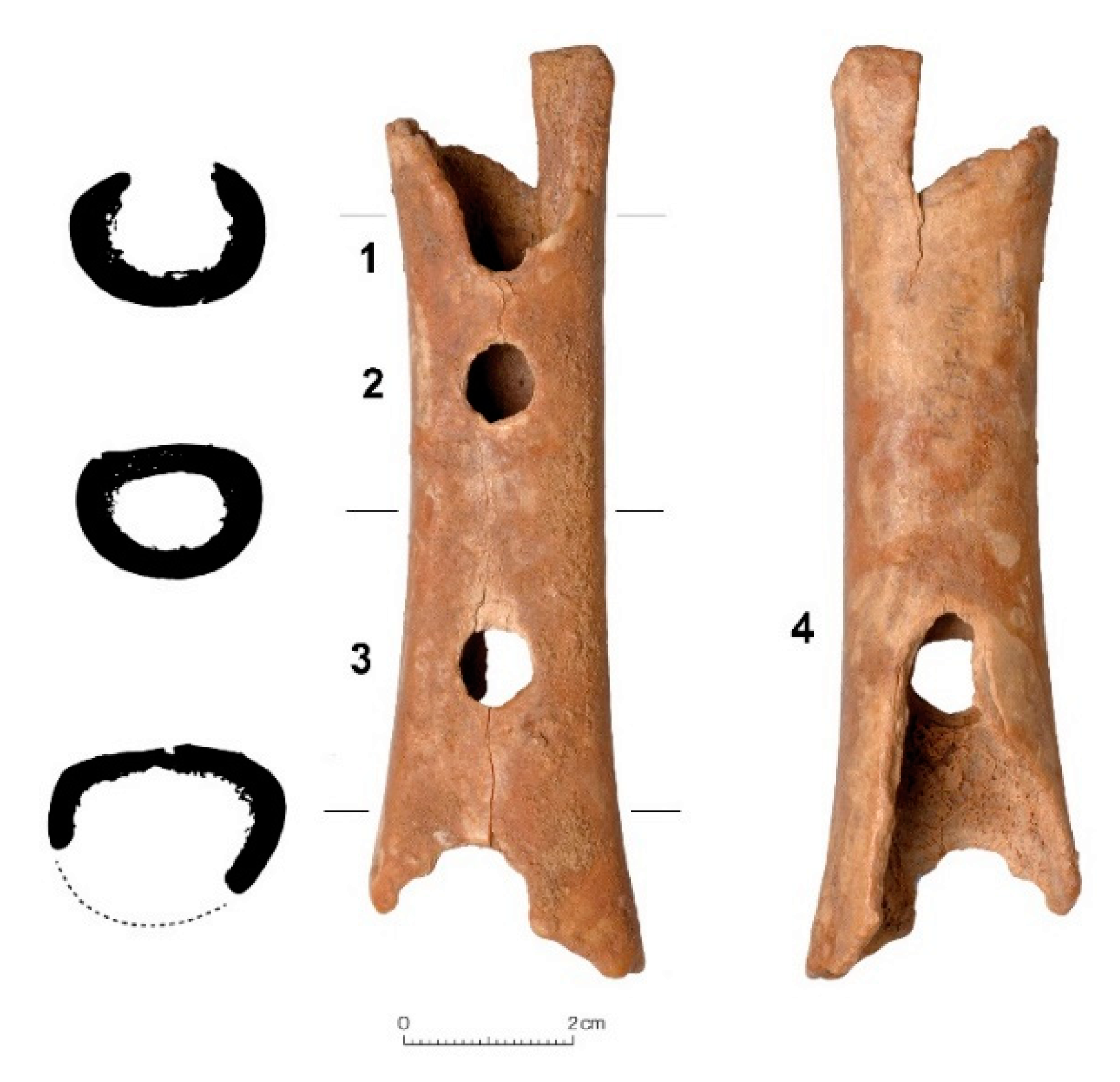 Applsci 10 01226 g001 Applsci 10 01226 g001
