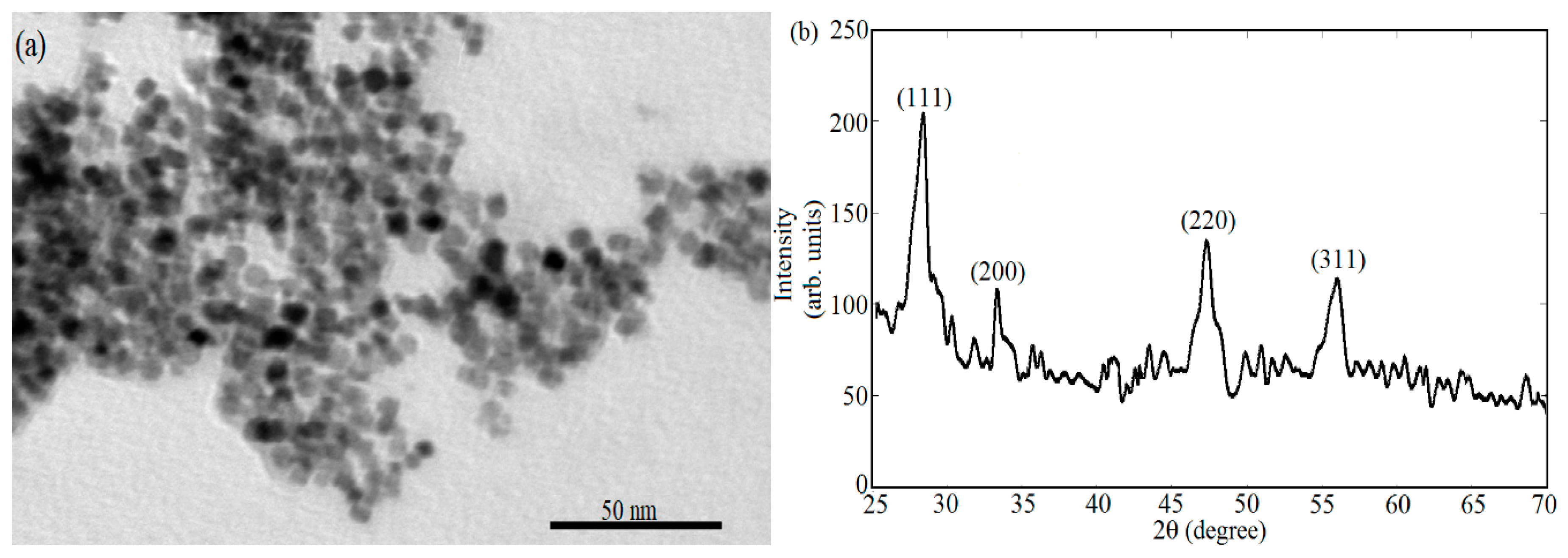 Applsci 10 01236 g004