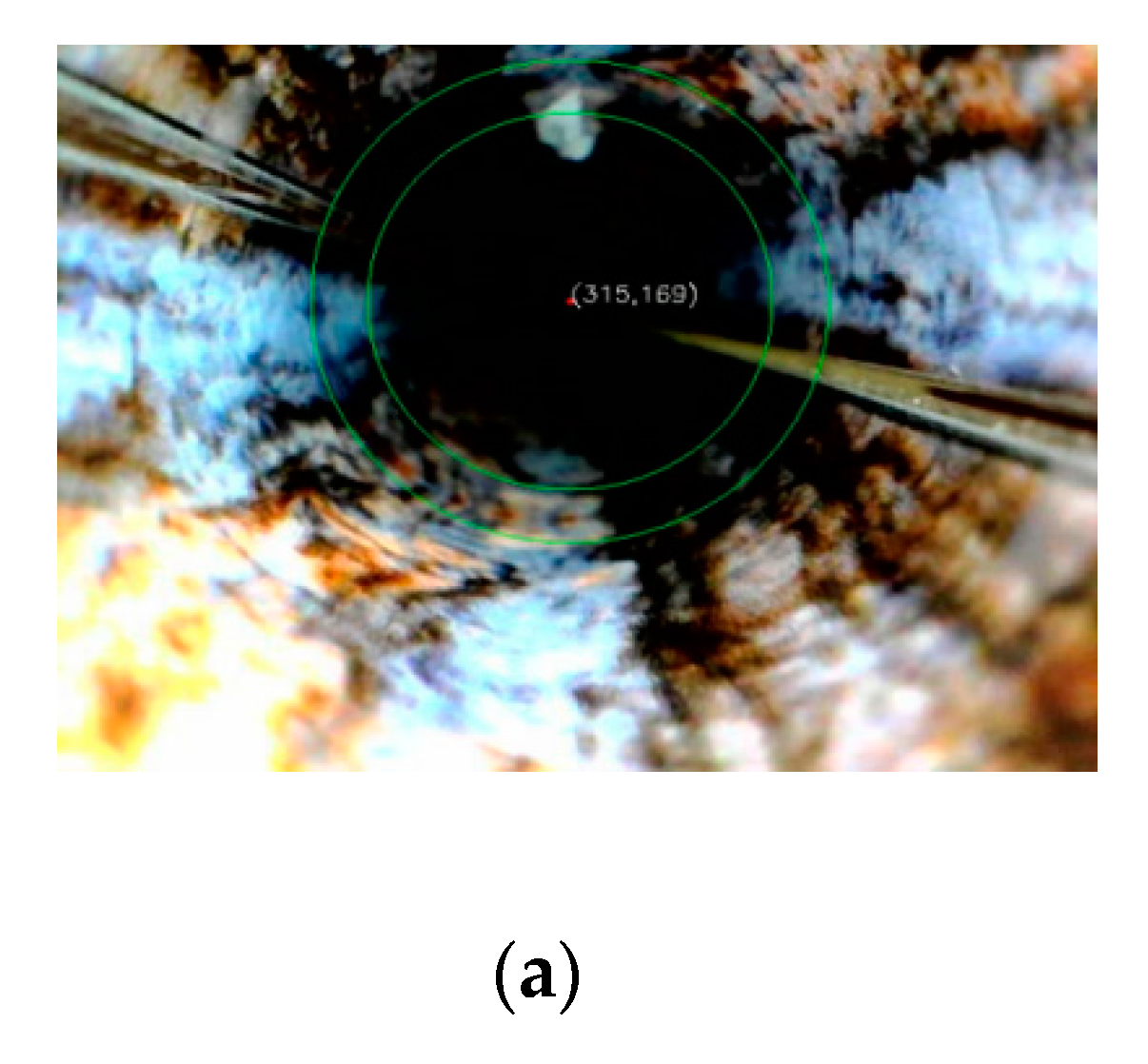 Applsci 10 01290 g003a Applsci 10 01290 g003a