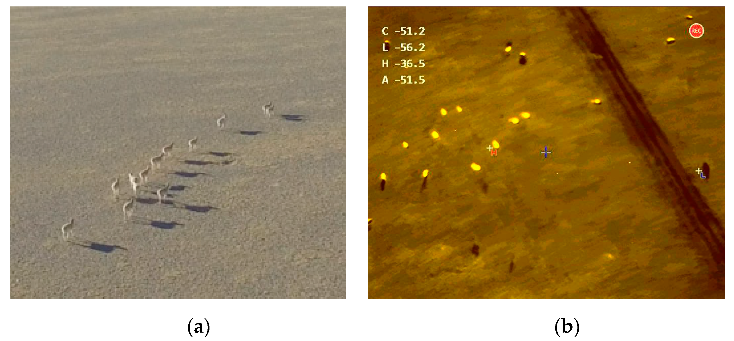 Applsci 10 01300 g020 Applsci 10 01300 g020