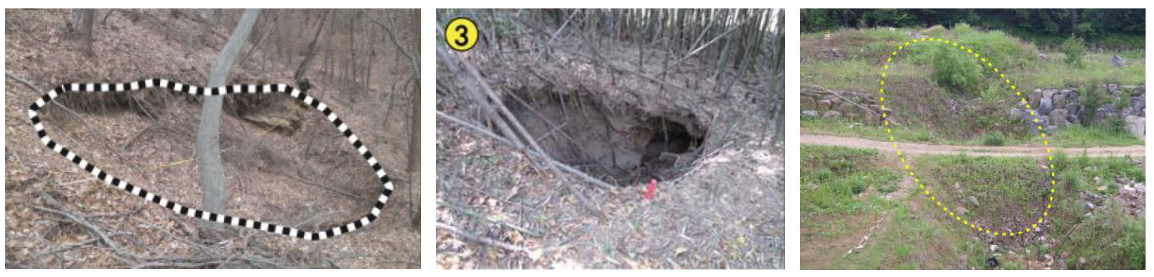 Applsci 10 01302 g001