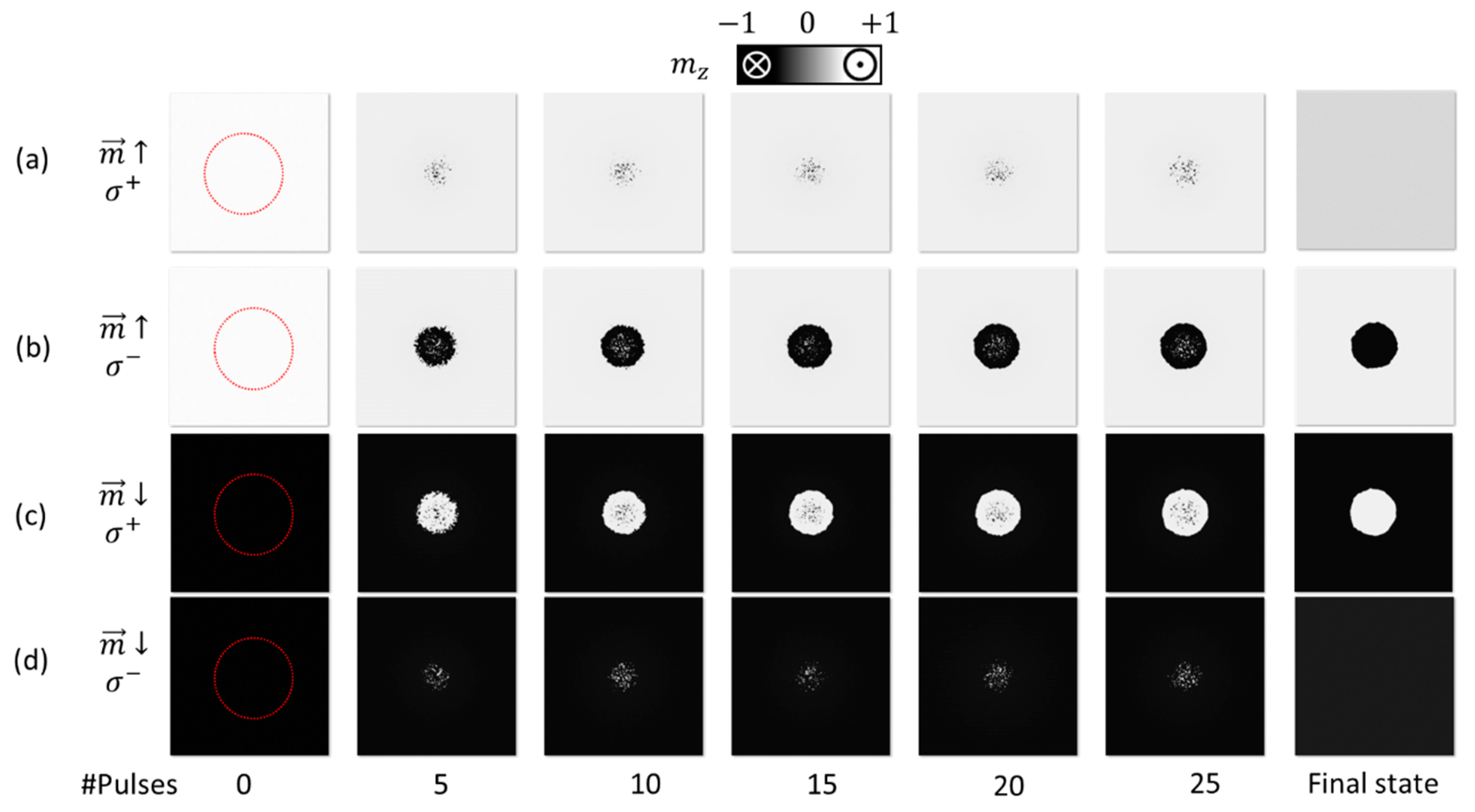 Applsci 10 01307 g002