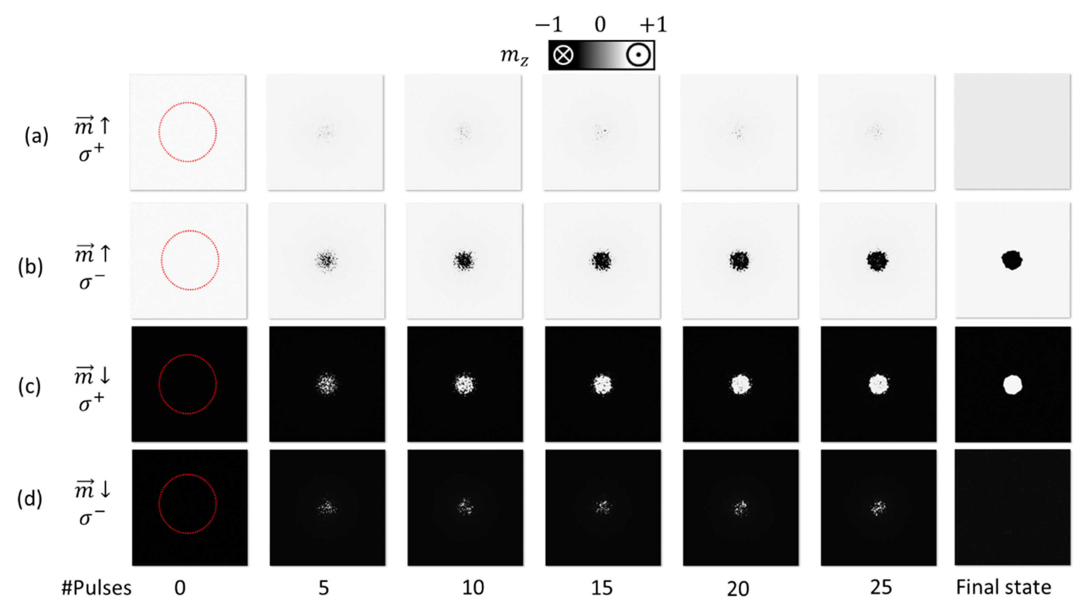 Applsci 10 01307 g005