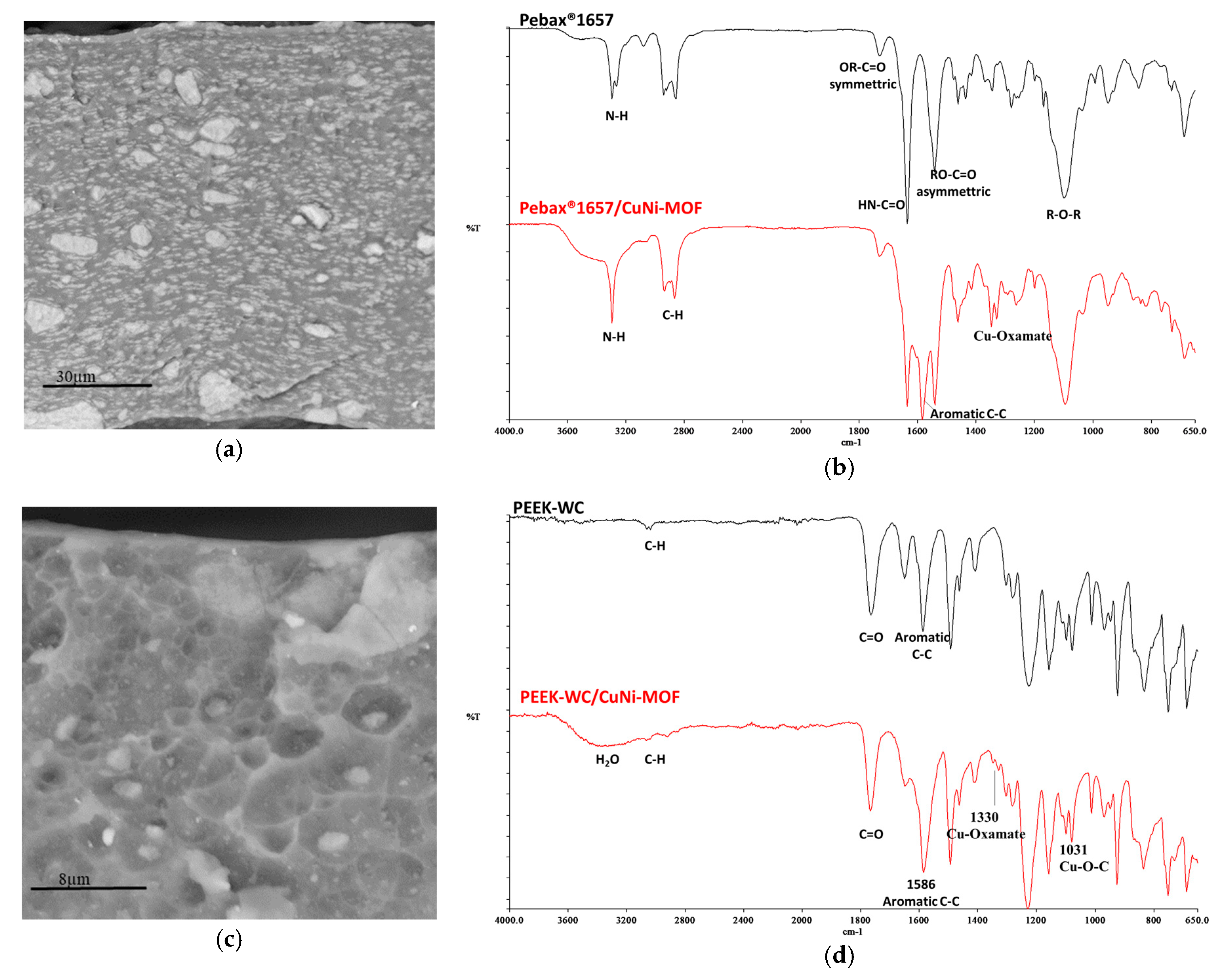 Applsci 10 01310 g002