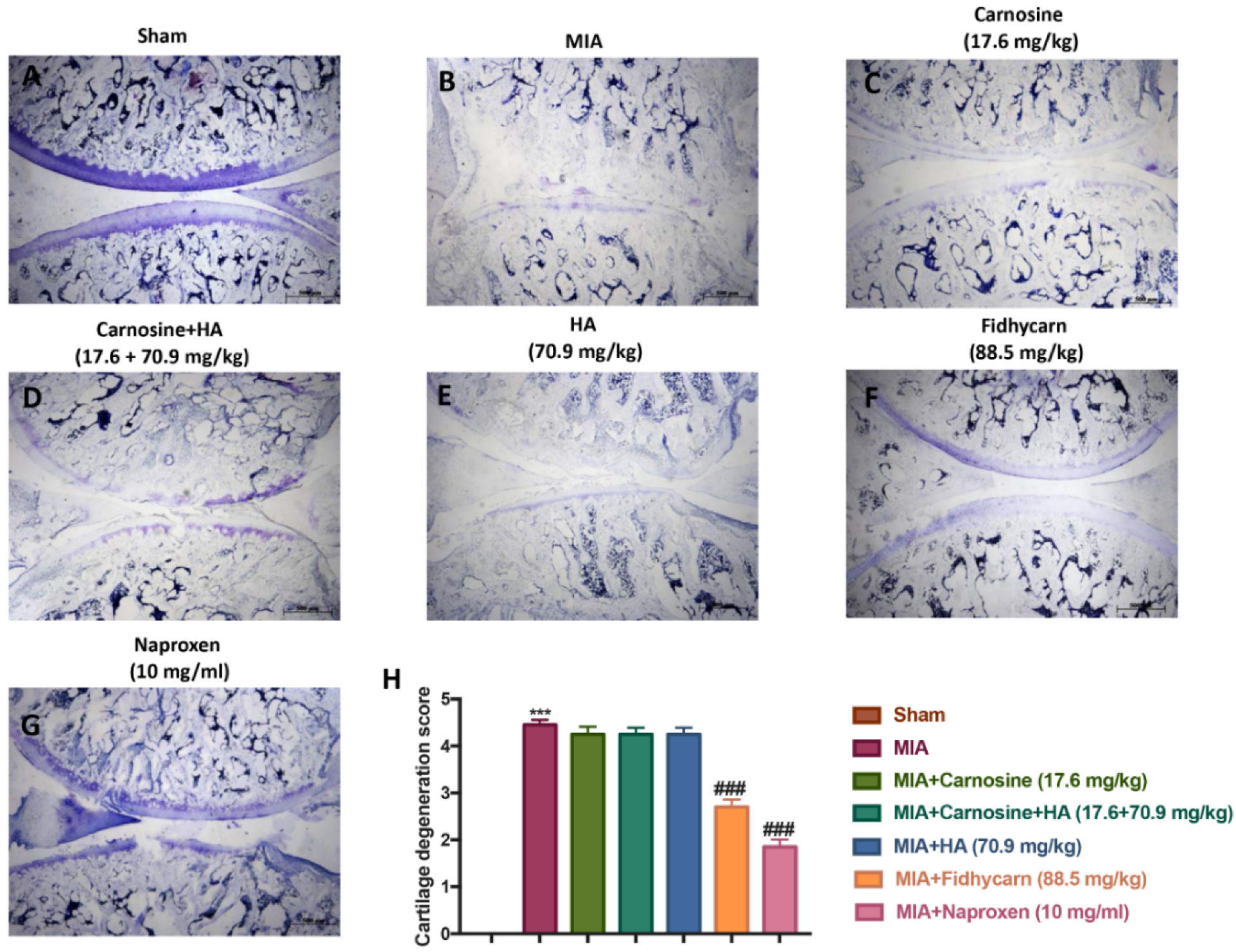 Applsci 10 01324 g006