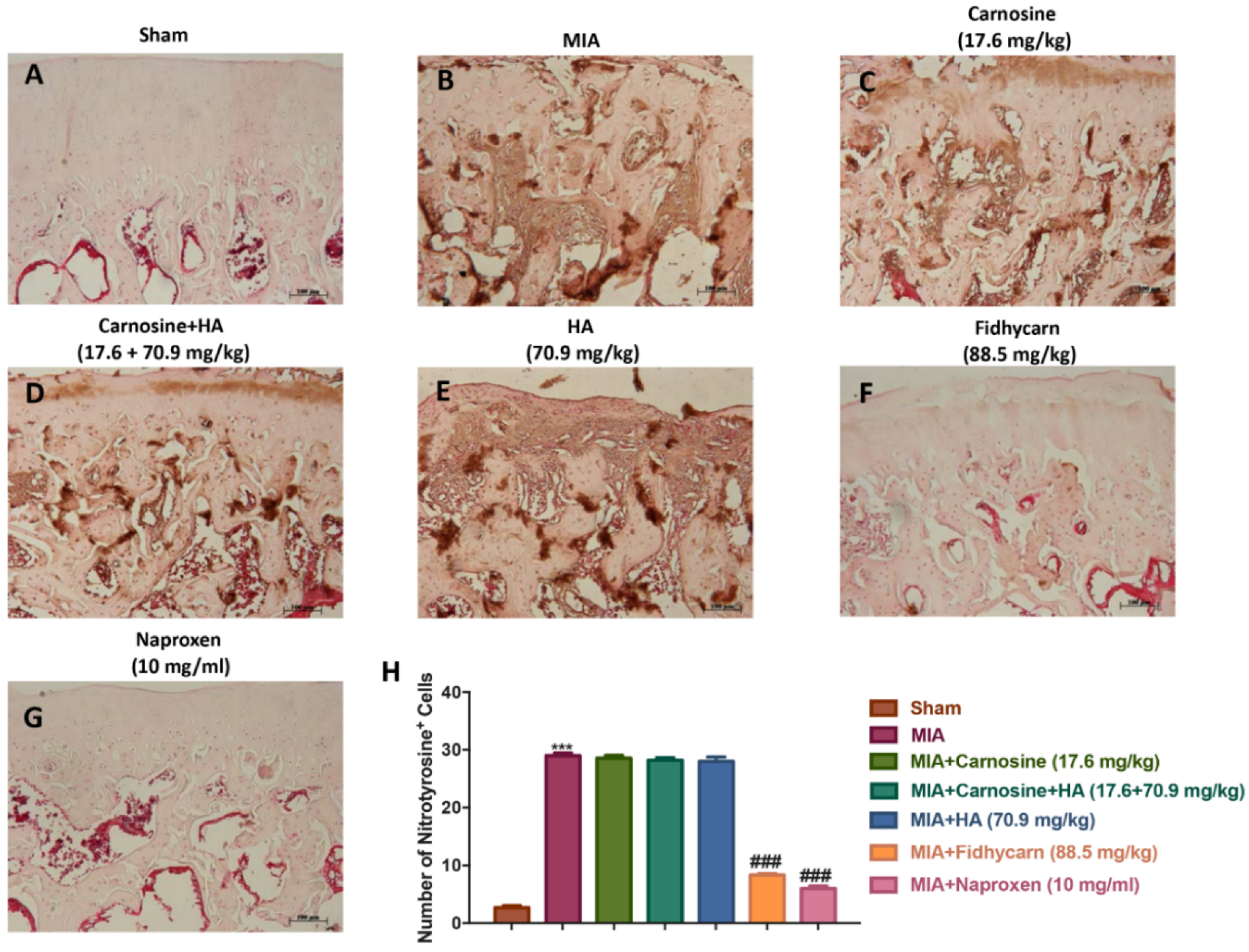 Applsci 10 01324 g008