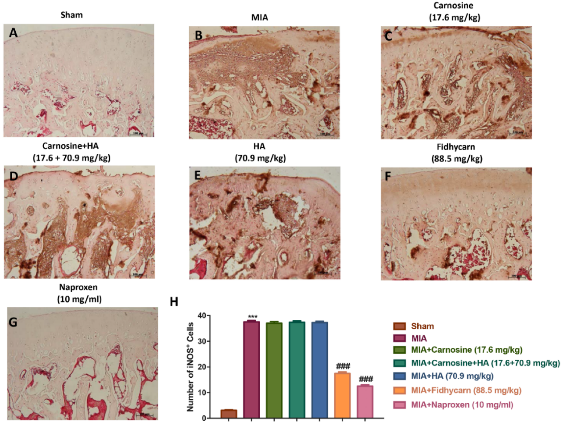 Applsci 10 01324 g009