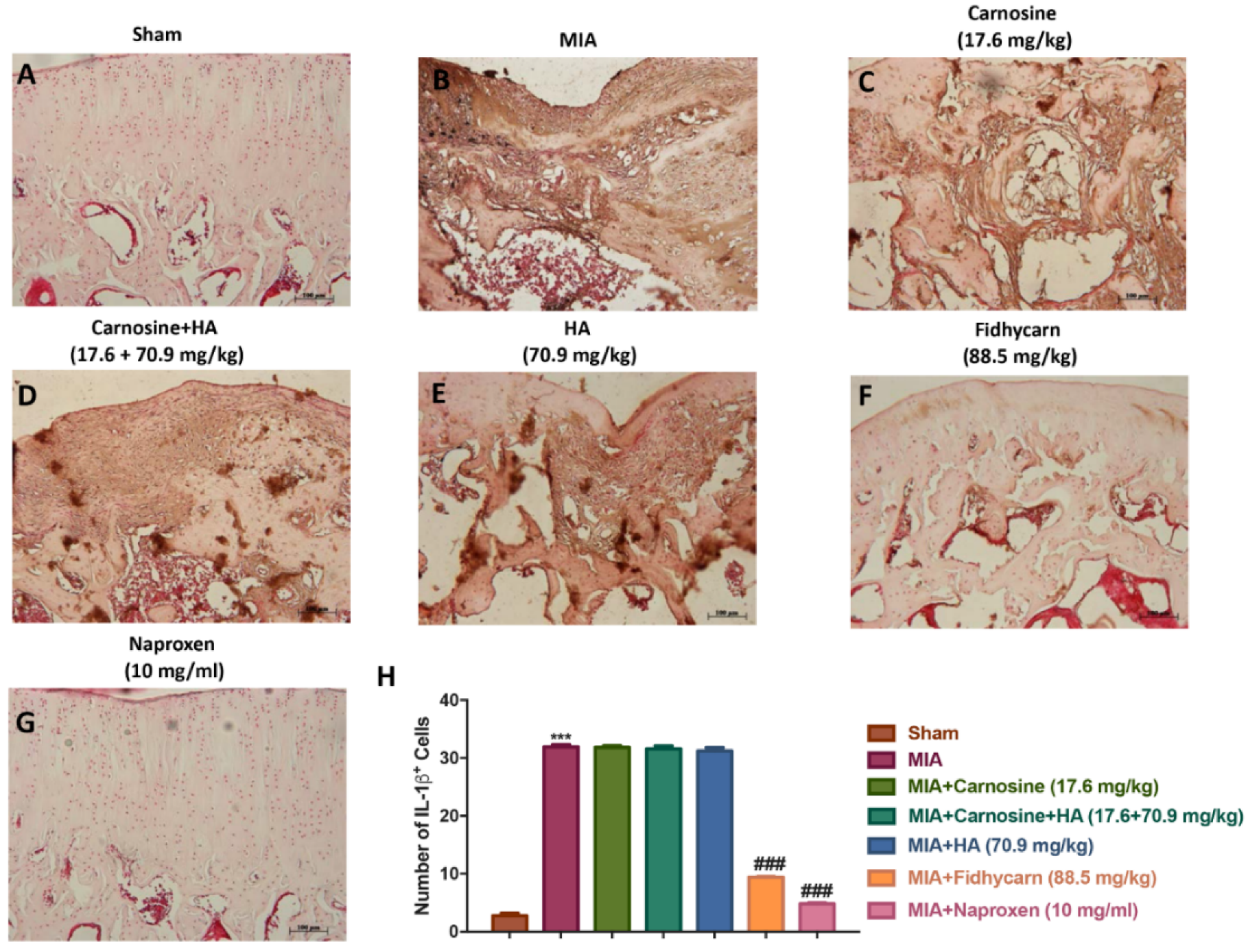 Applsci 10 01324 g010