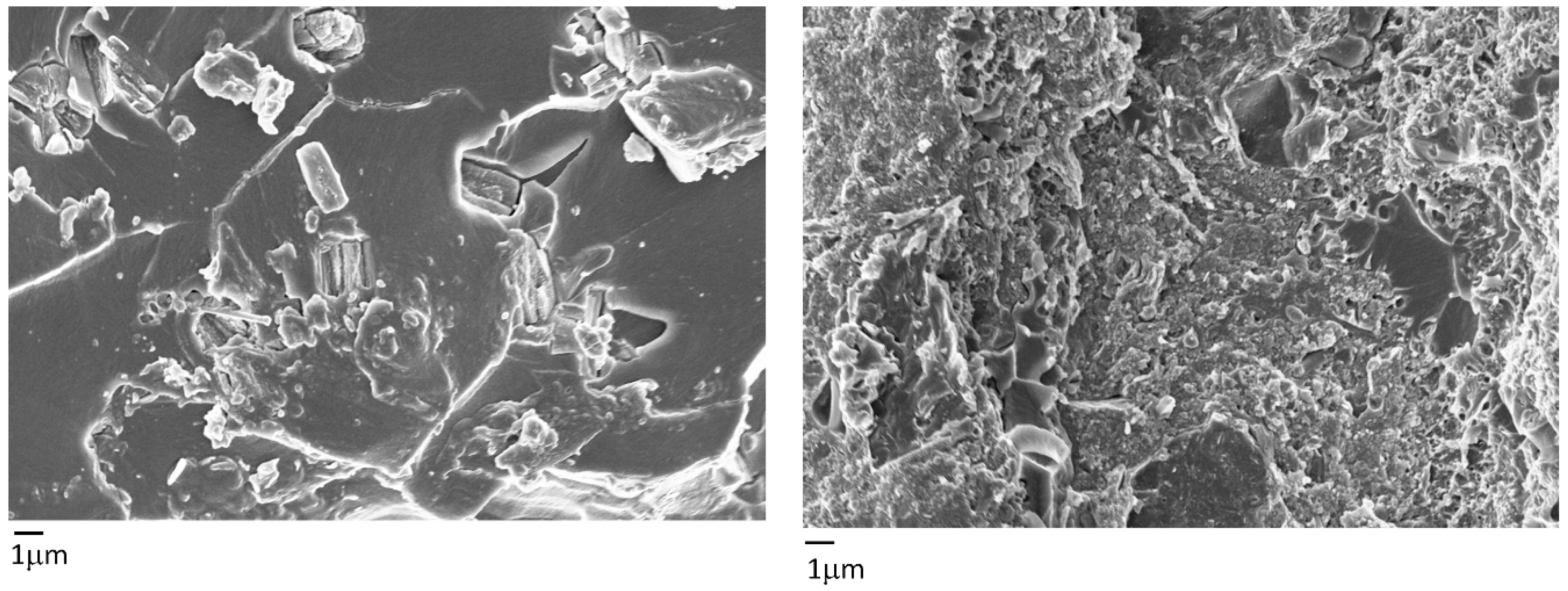 Applsci 10 01334 g007 Applsci 10 01334 g007