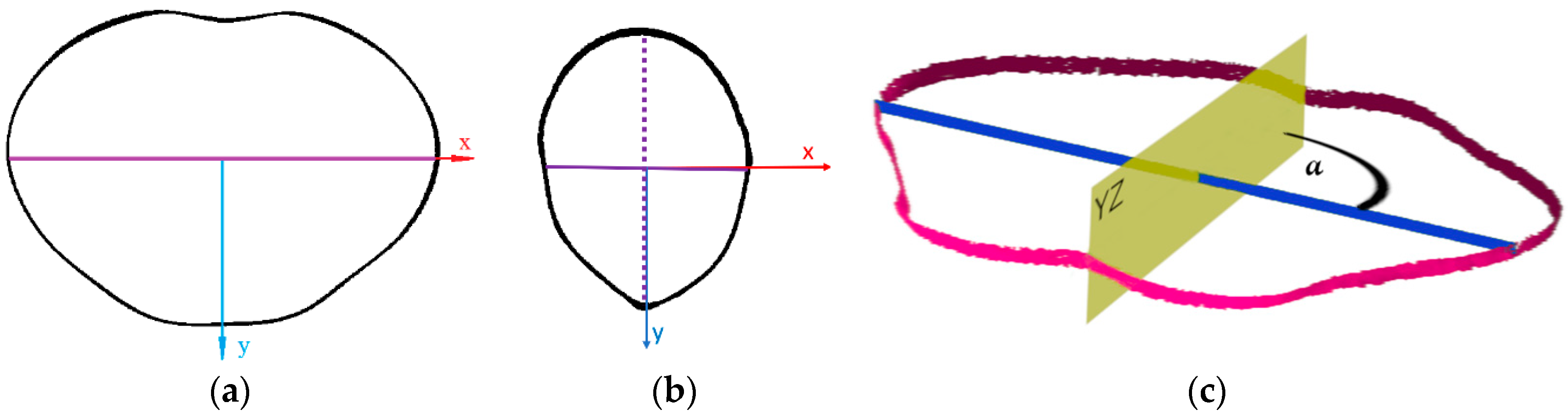 Applsci 10 01342 g007 Applsci 10 01342 g007