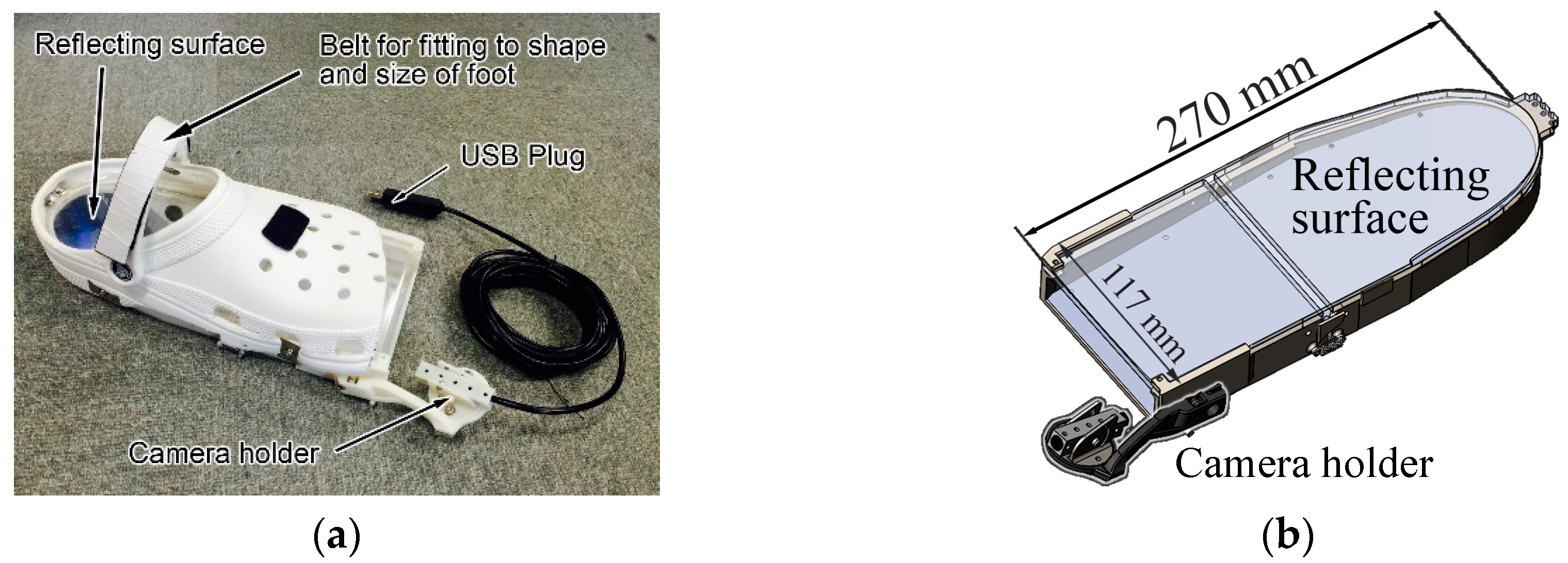 Applsci 10 01359 g001