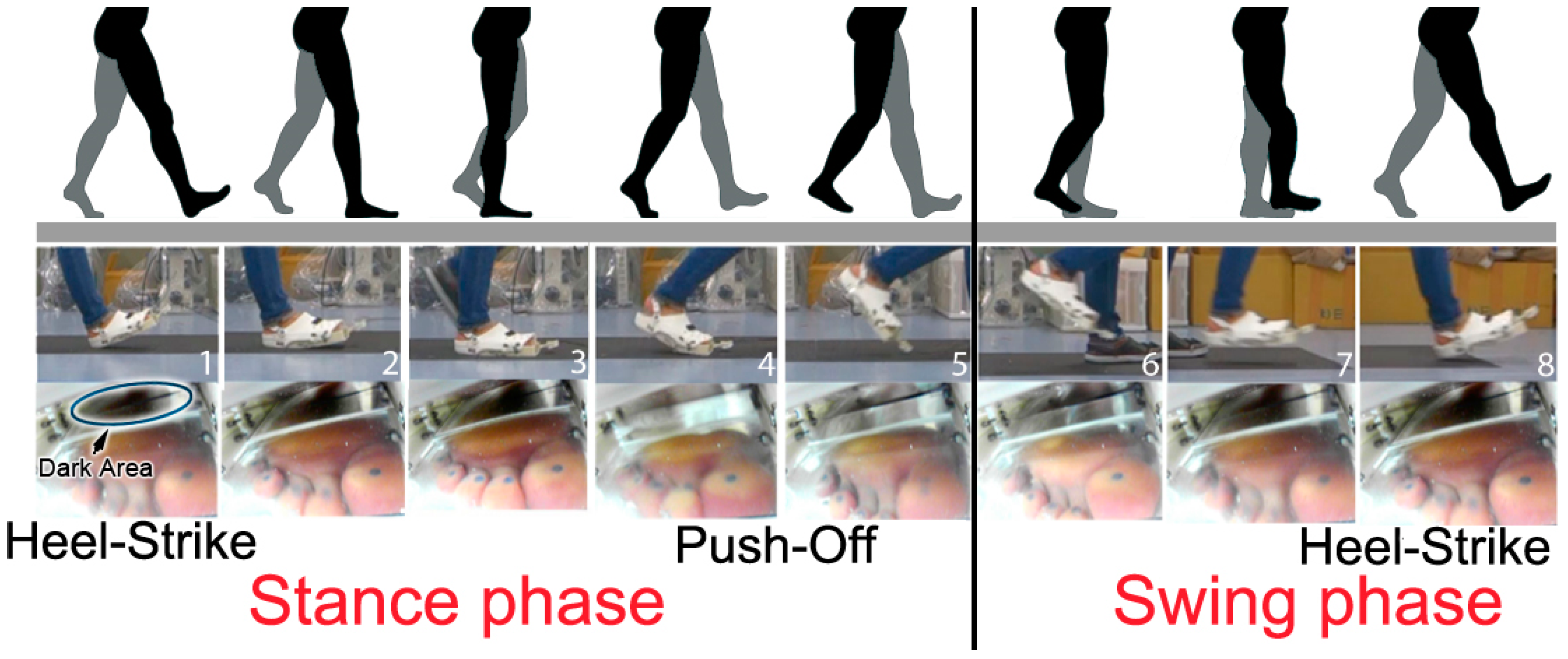 Applsci 10 01359 g003