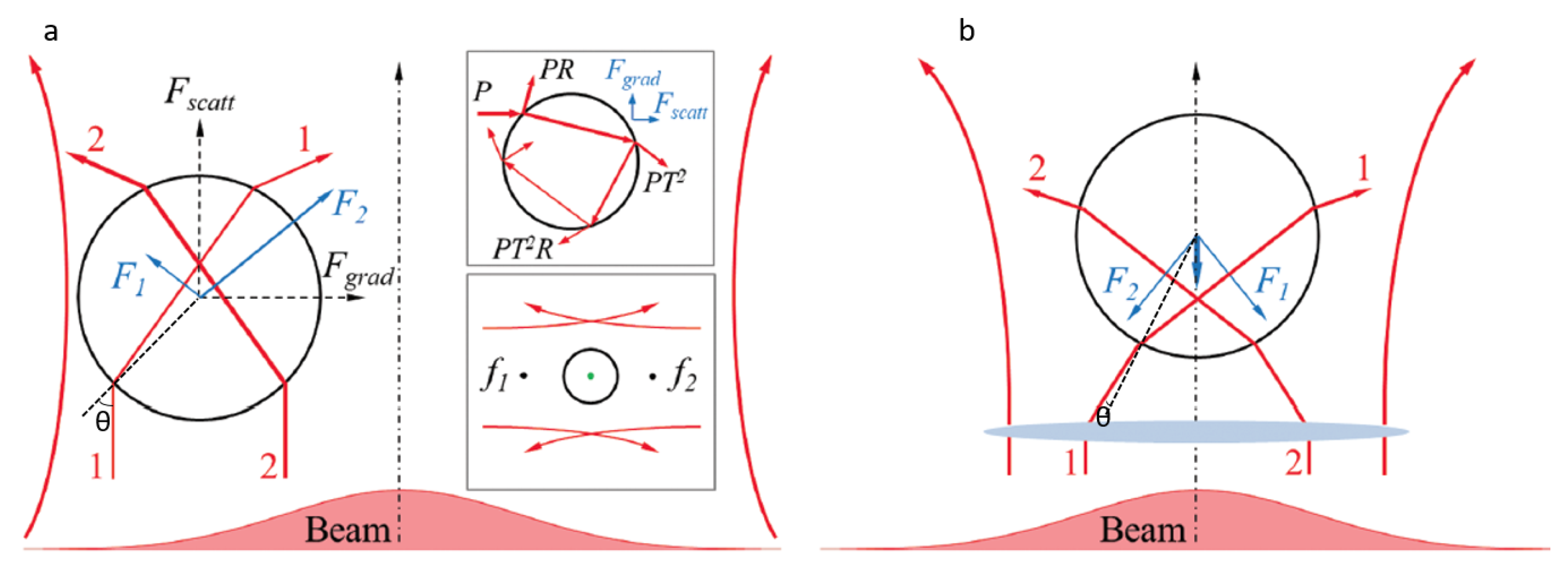 Applsci 10 01375 g001 Applsci 10 01375 g001