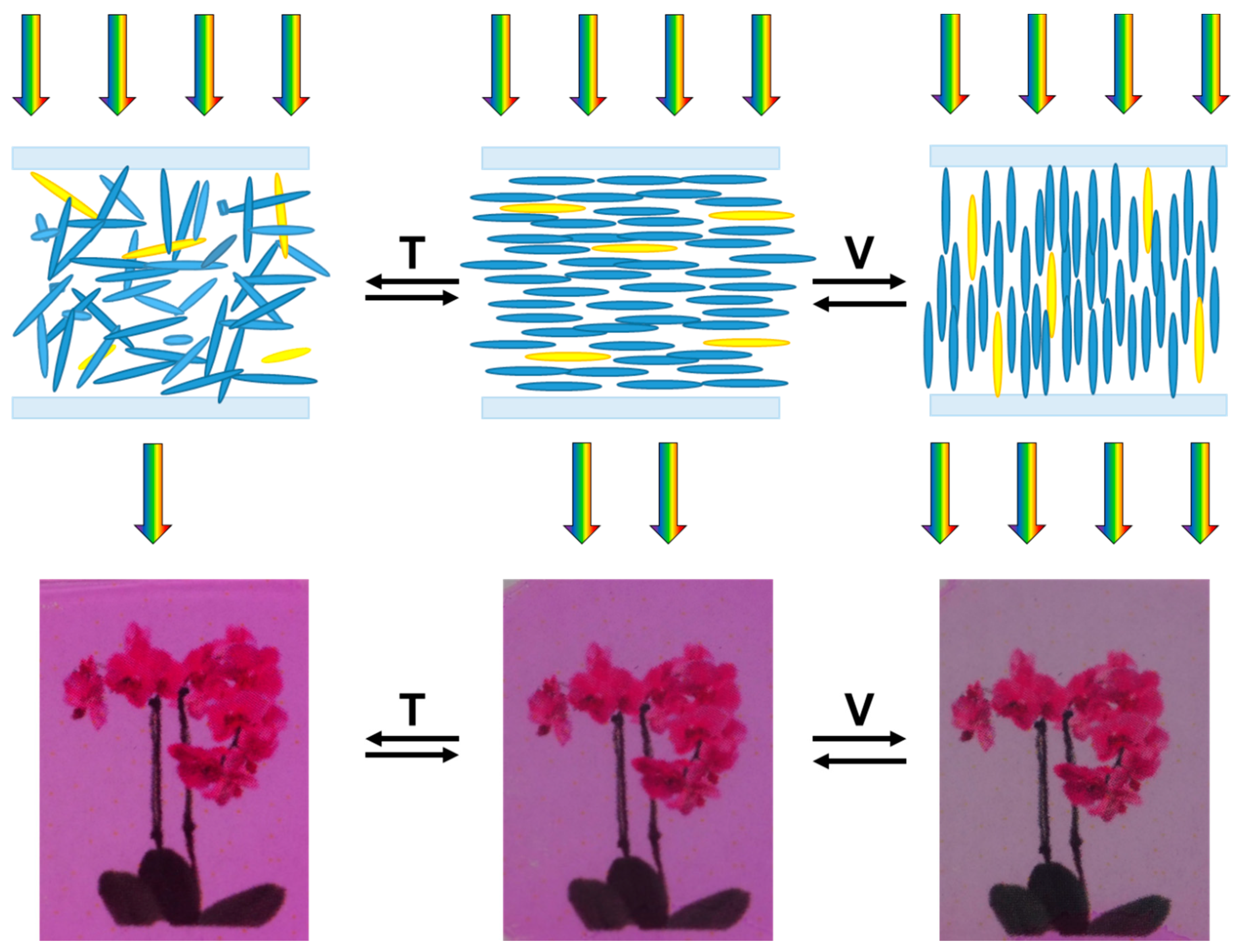 Applsci 10 01421 g002 Applsci 10 01421 g002