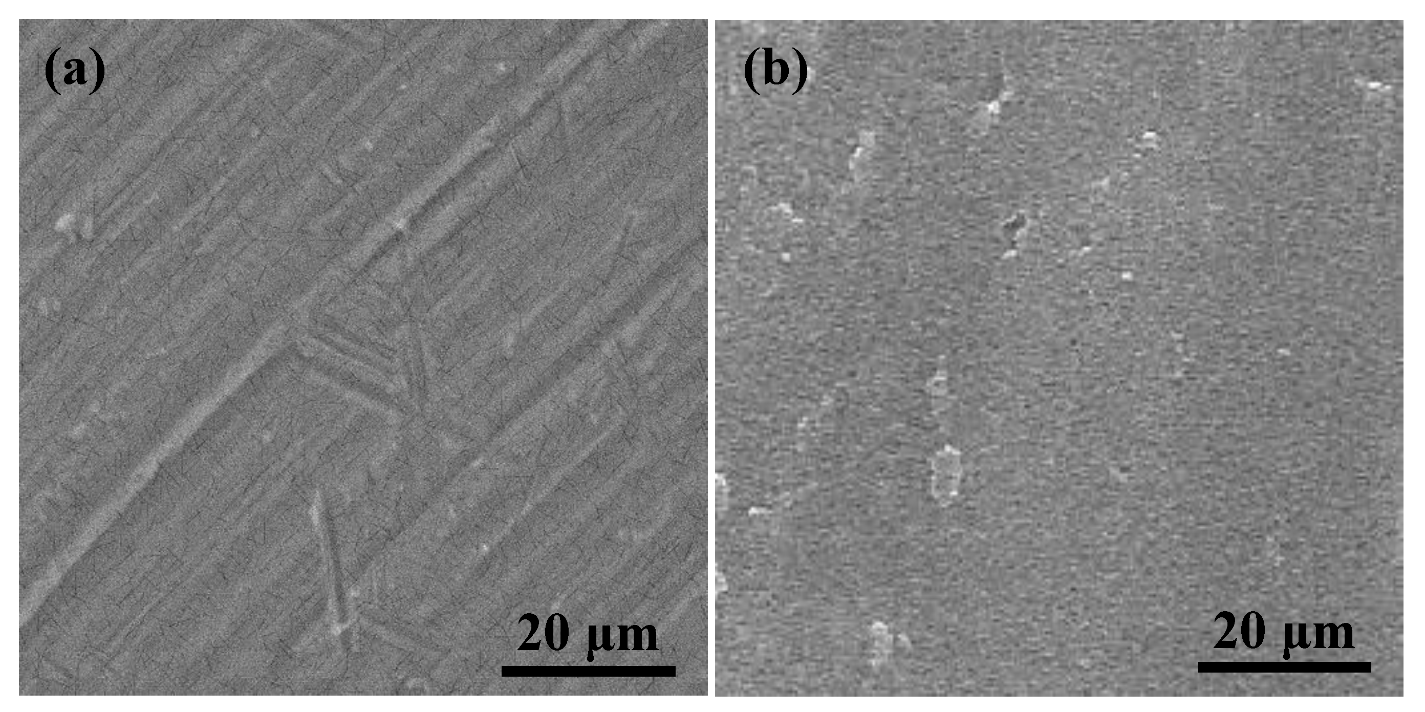 Applsci 10 01438 g001