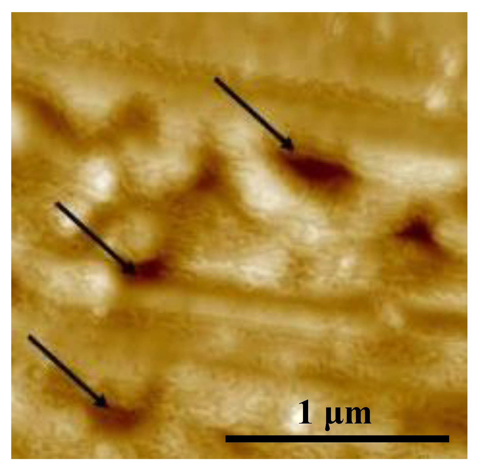 Applsci 10 01438 g002