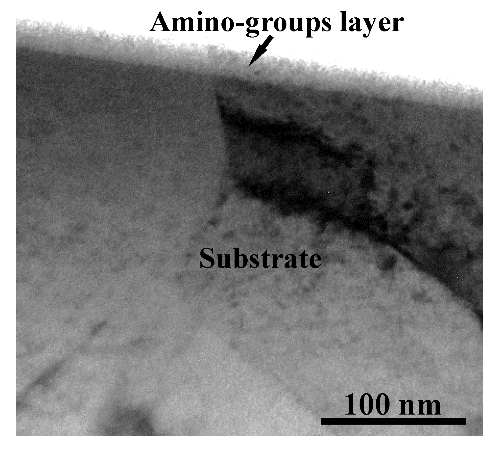 Applsci 10 01438 g007