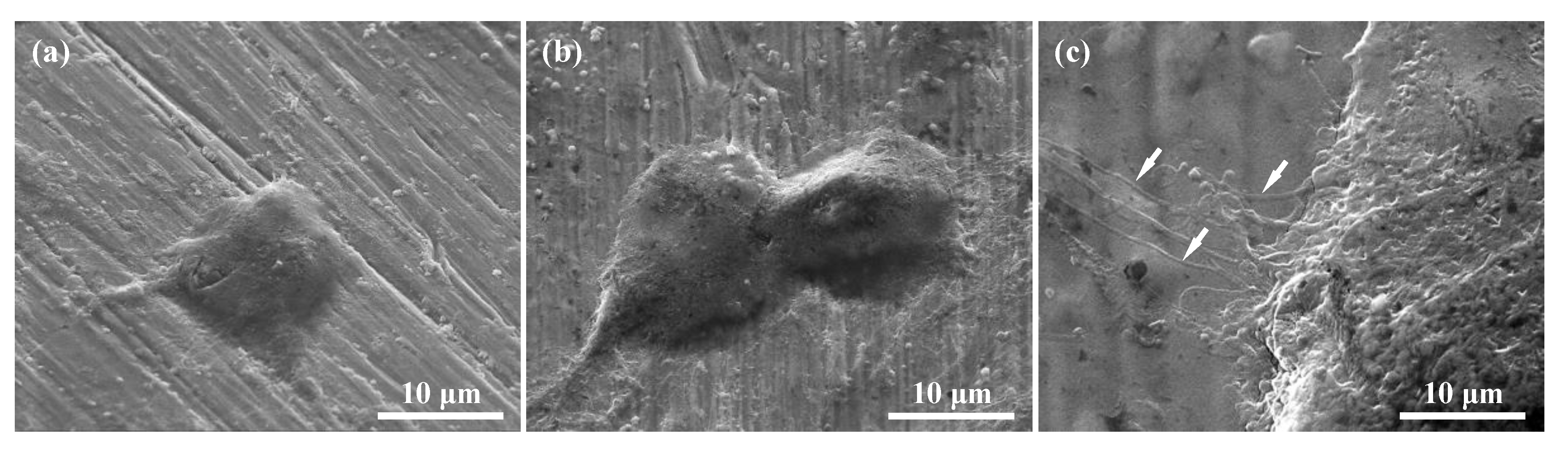 Applsci 10 01438 g009