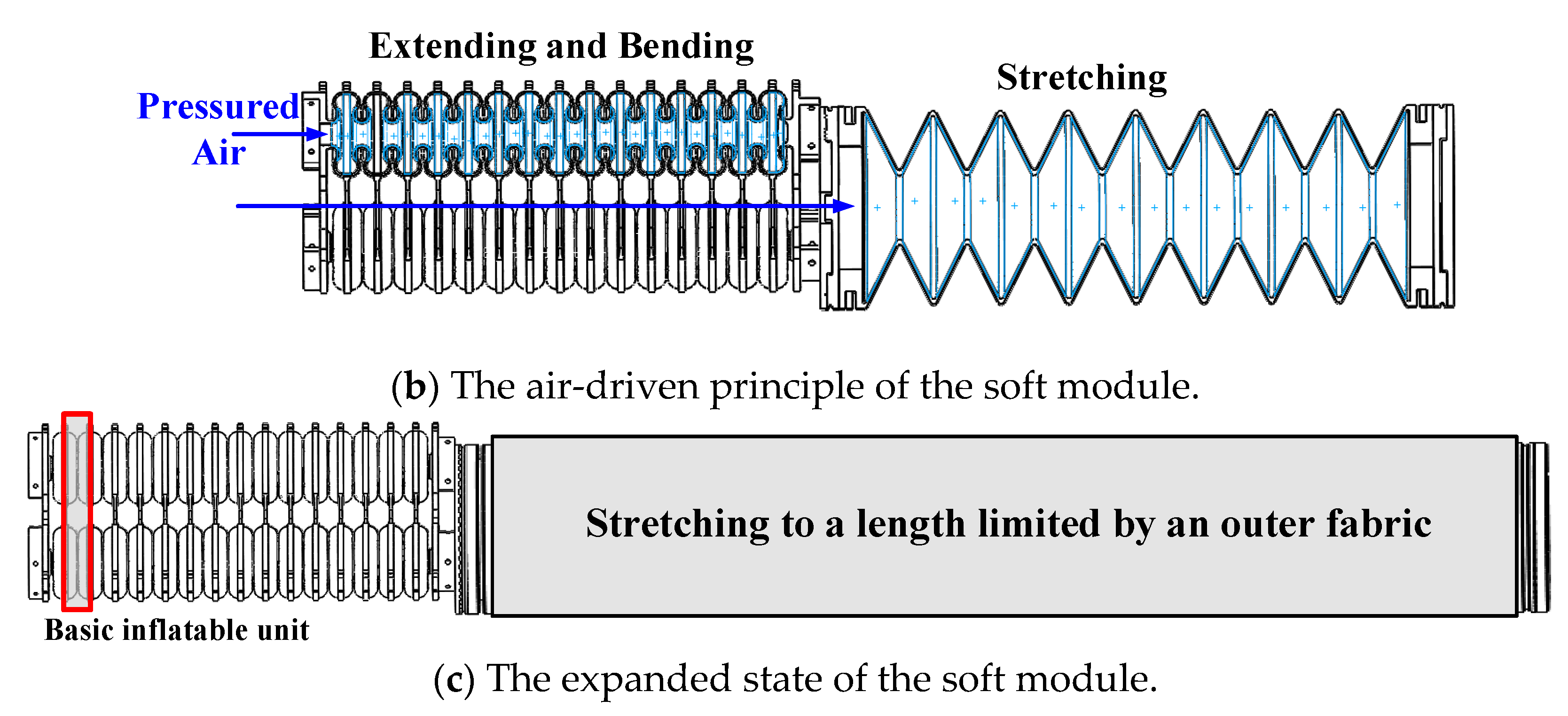 Applsci 10 01447 g001b
