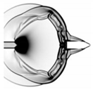 Applsci 10 01468 i004 Applsci 10 01468 i004