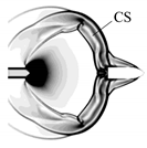 Applsci 10 01468 i007 Applsci 10 01468 i007