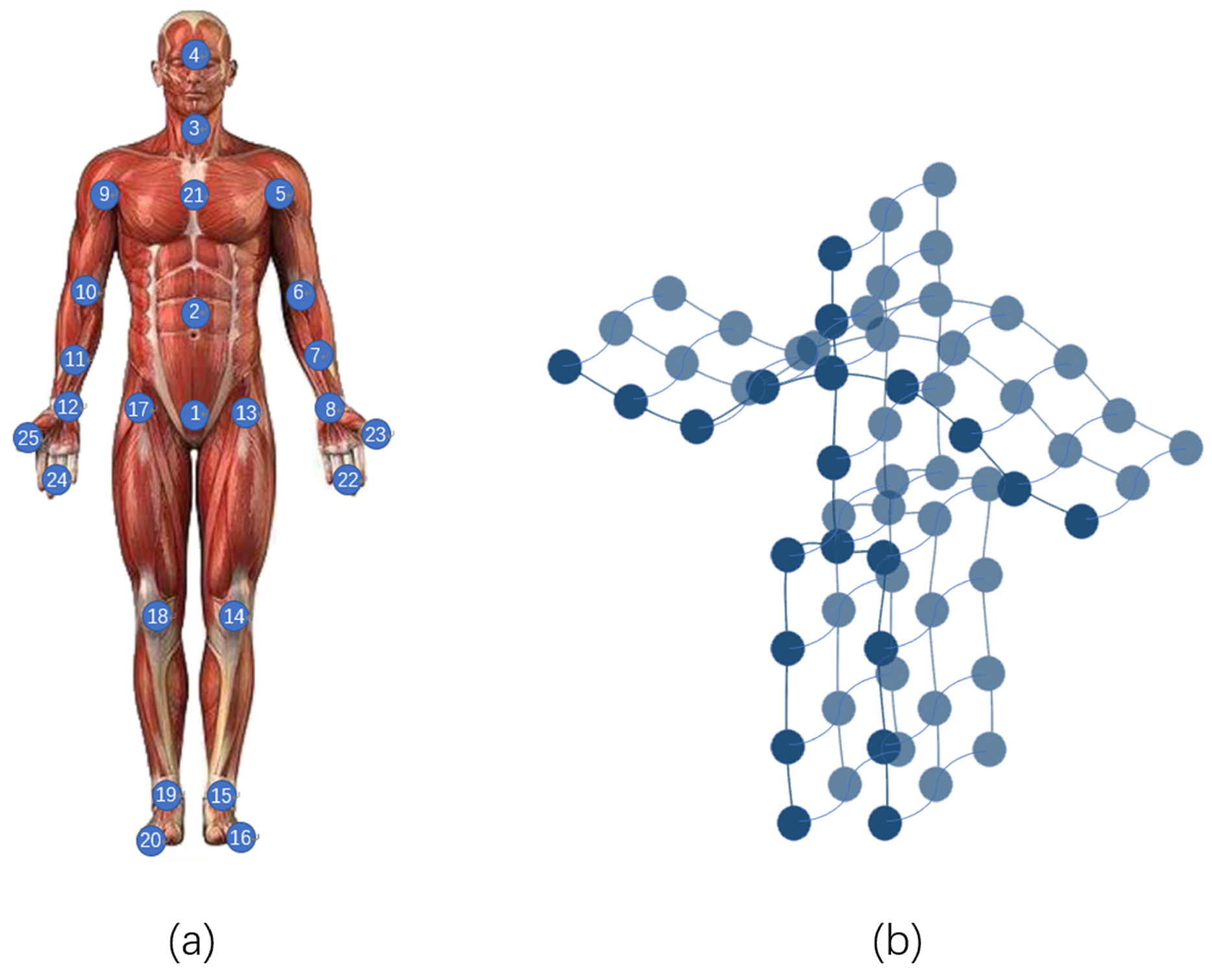 Applsci 10 01482 g001