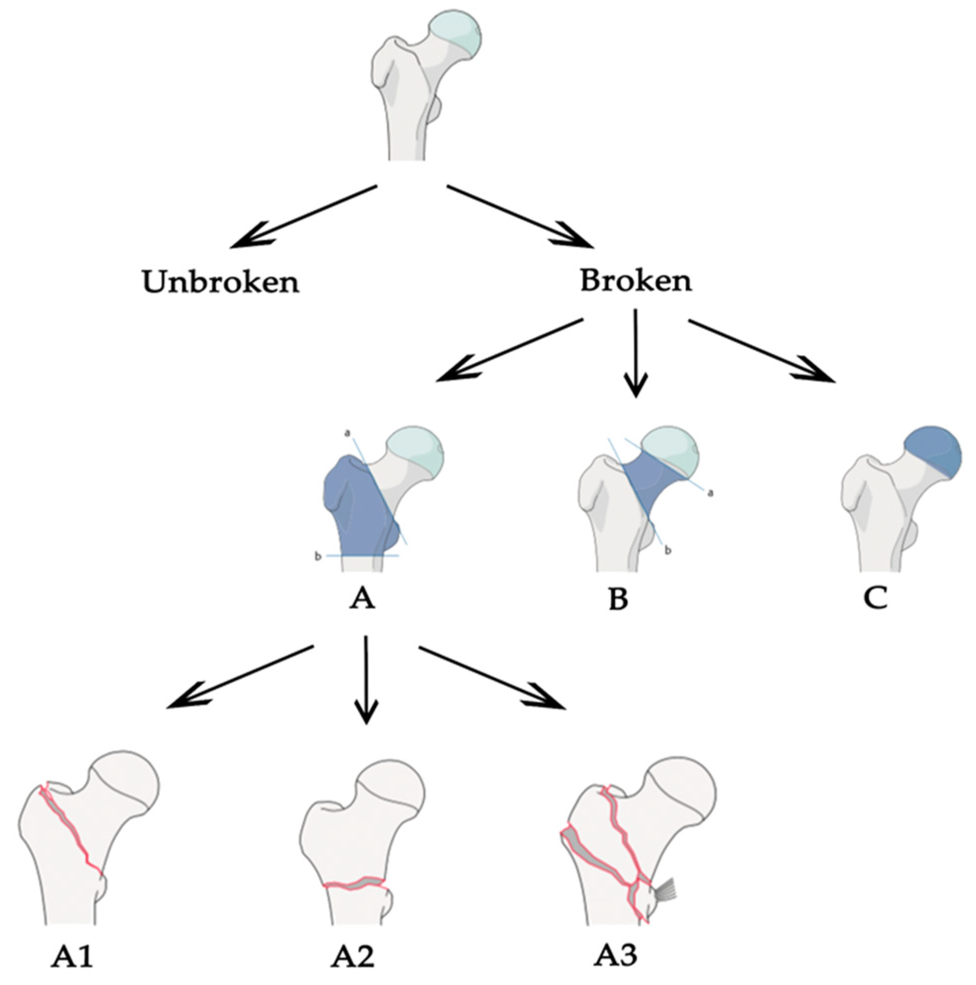 Applsci 10 01507 g003