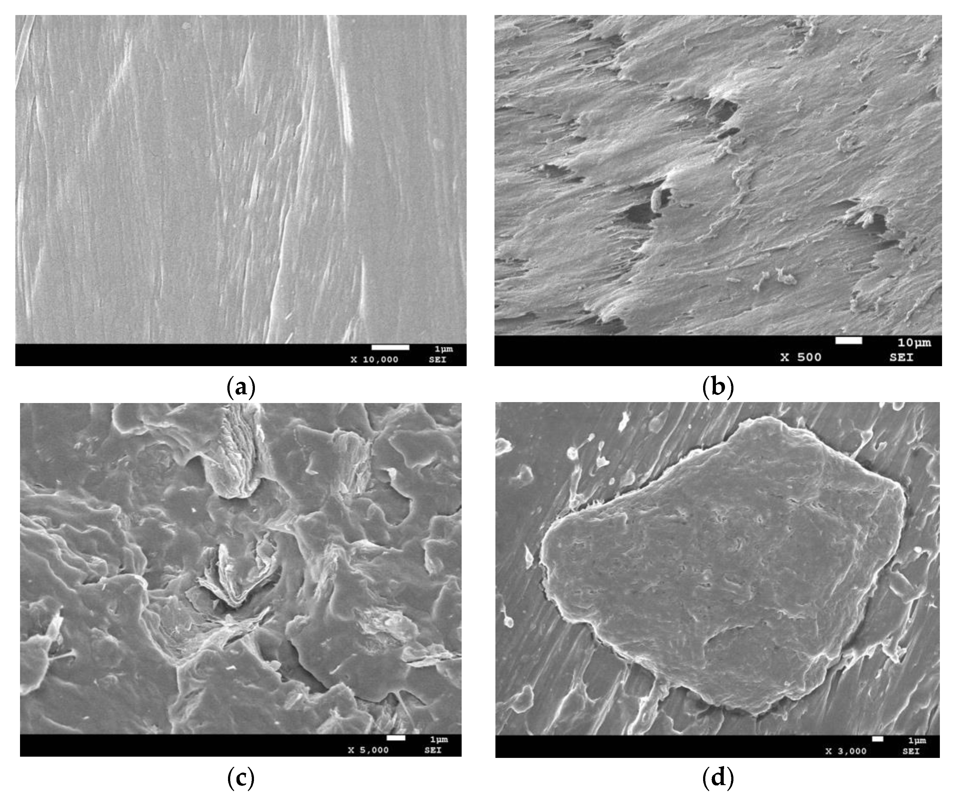 Applsci 10 01508 g003