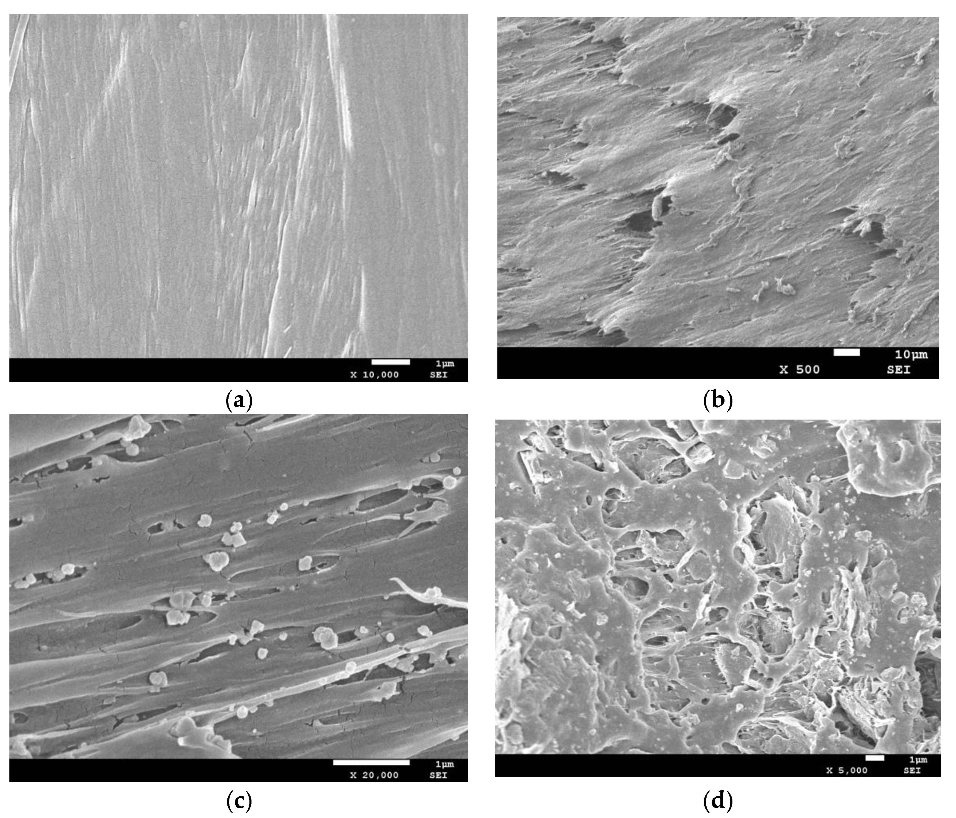 Applsci 10 01508 g011