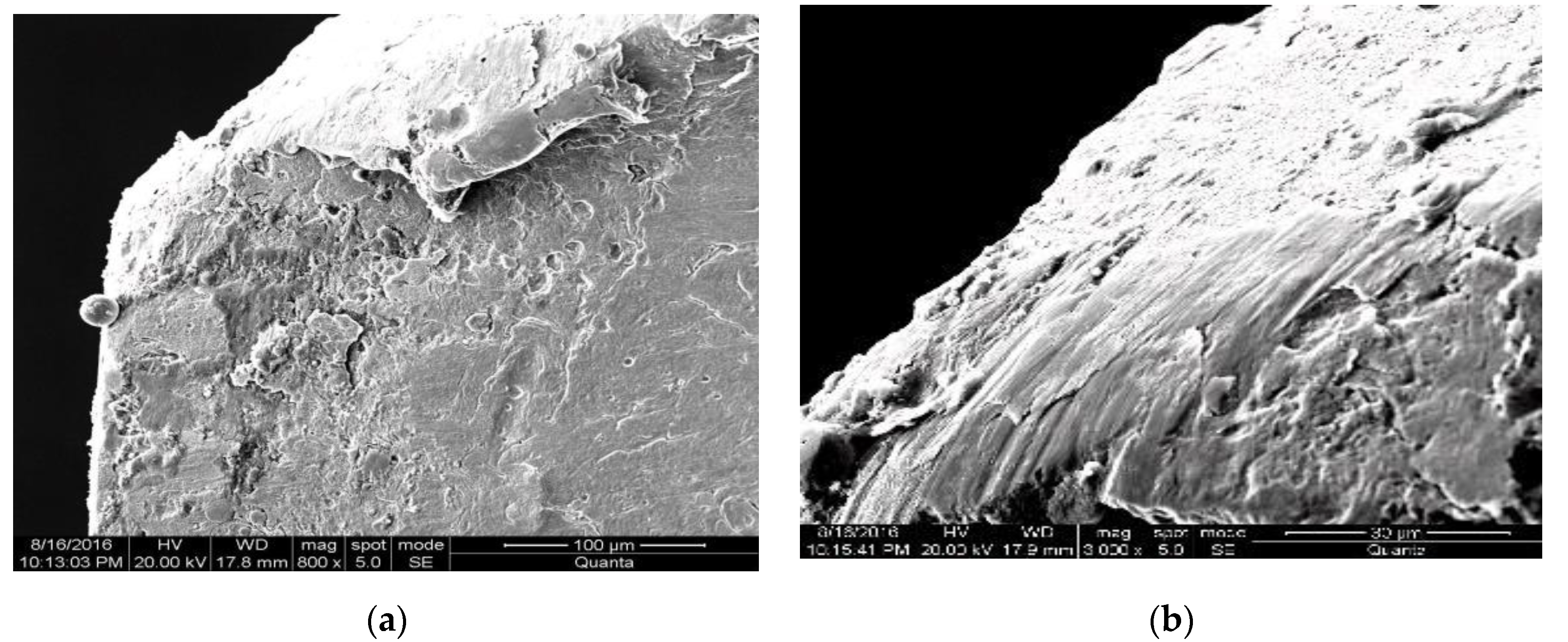 Applsci 10 01537 g002 Applsci 10 01537 g002