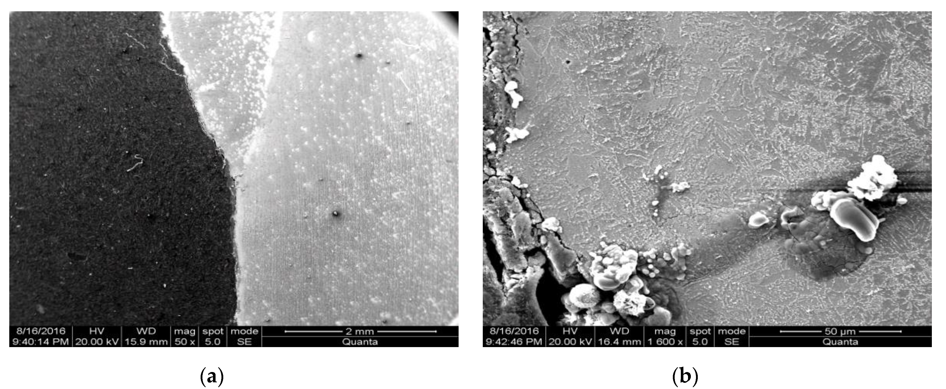 Applsci 10 01537 g004 Applsci 10 01537 g004