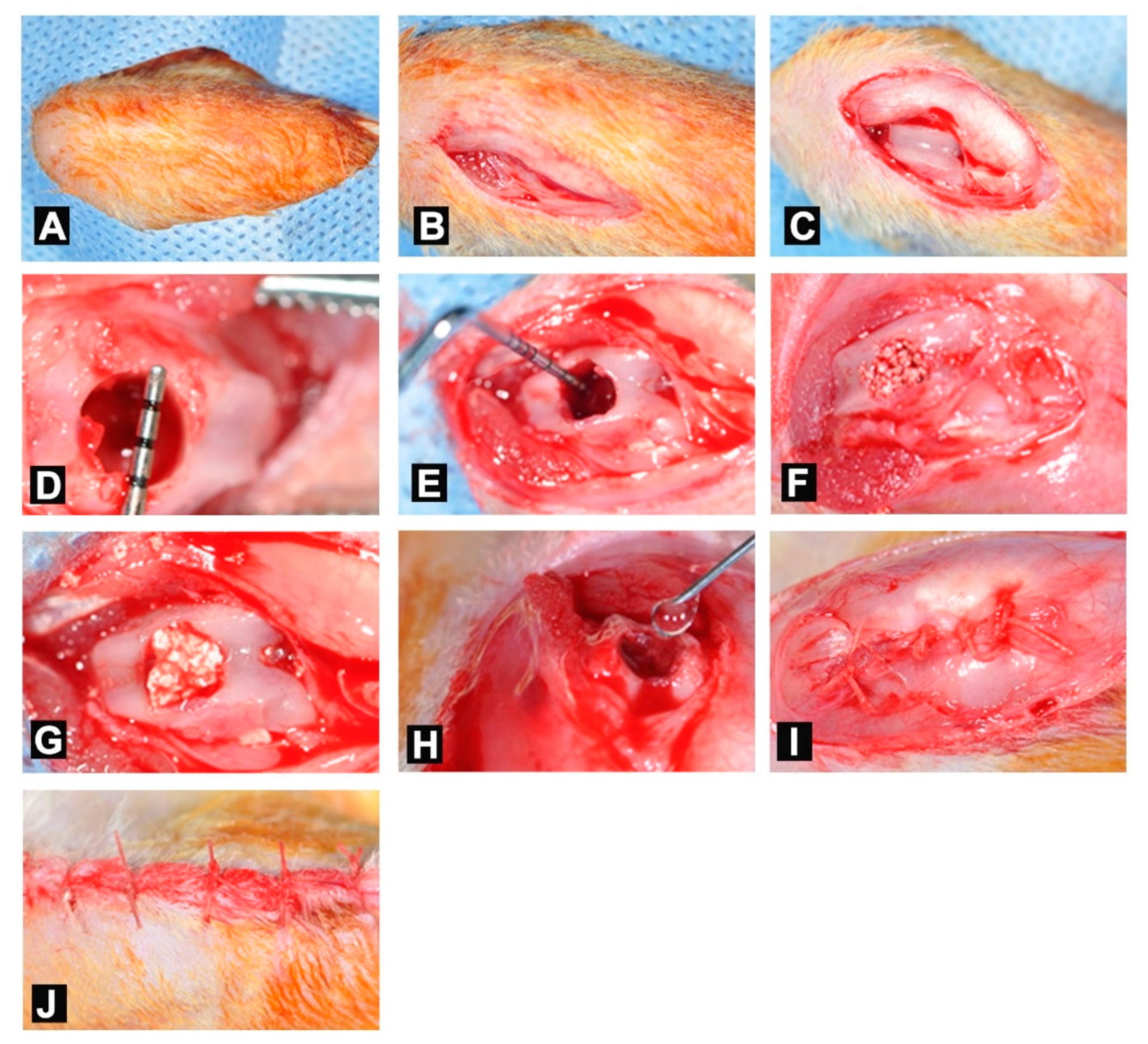 Applsci 10 01651 g001