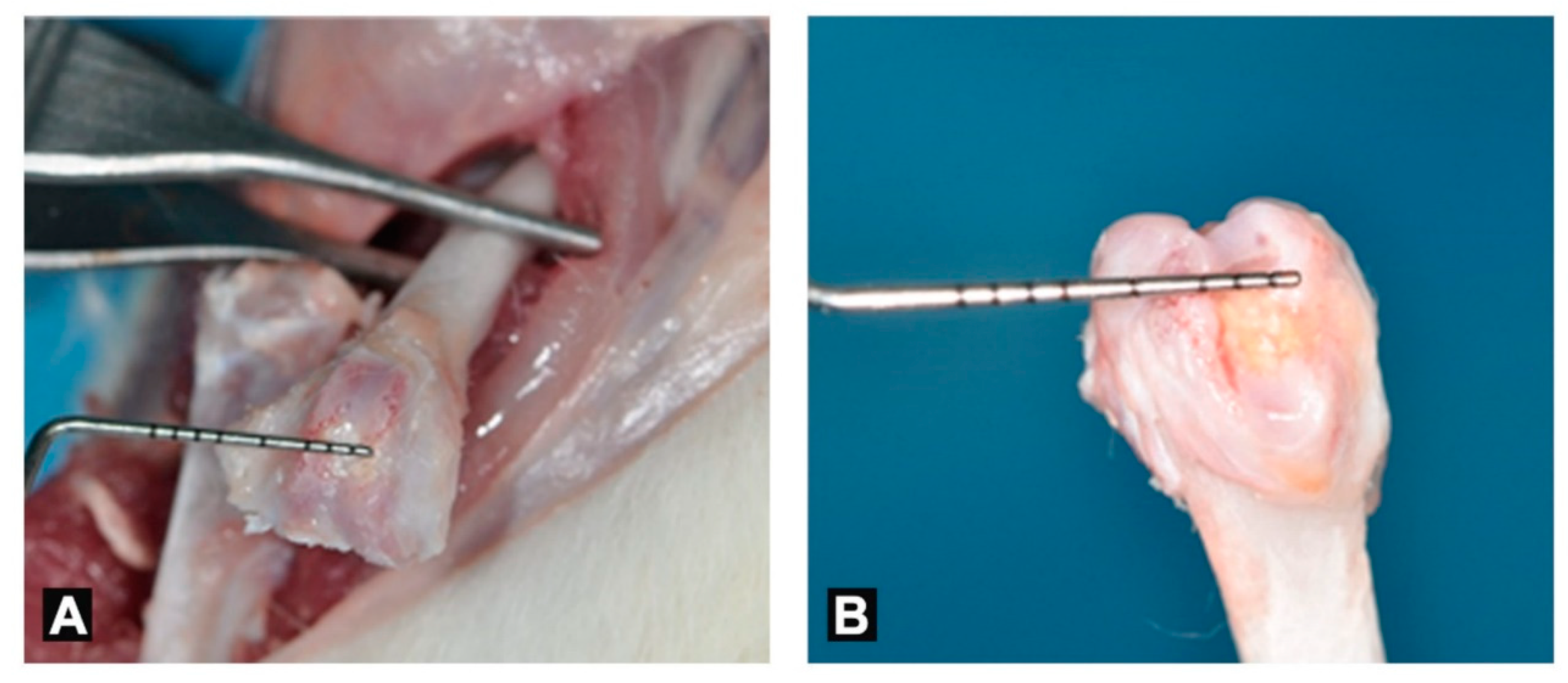 Applsci 10 01651 g002