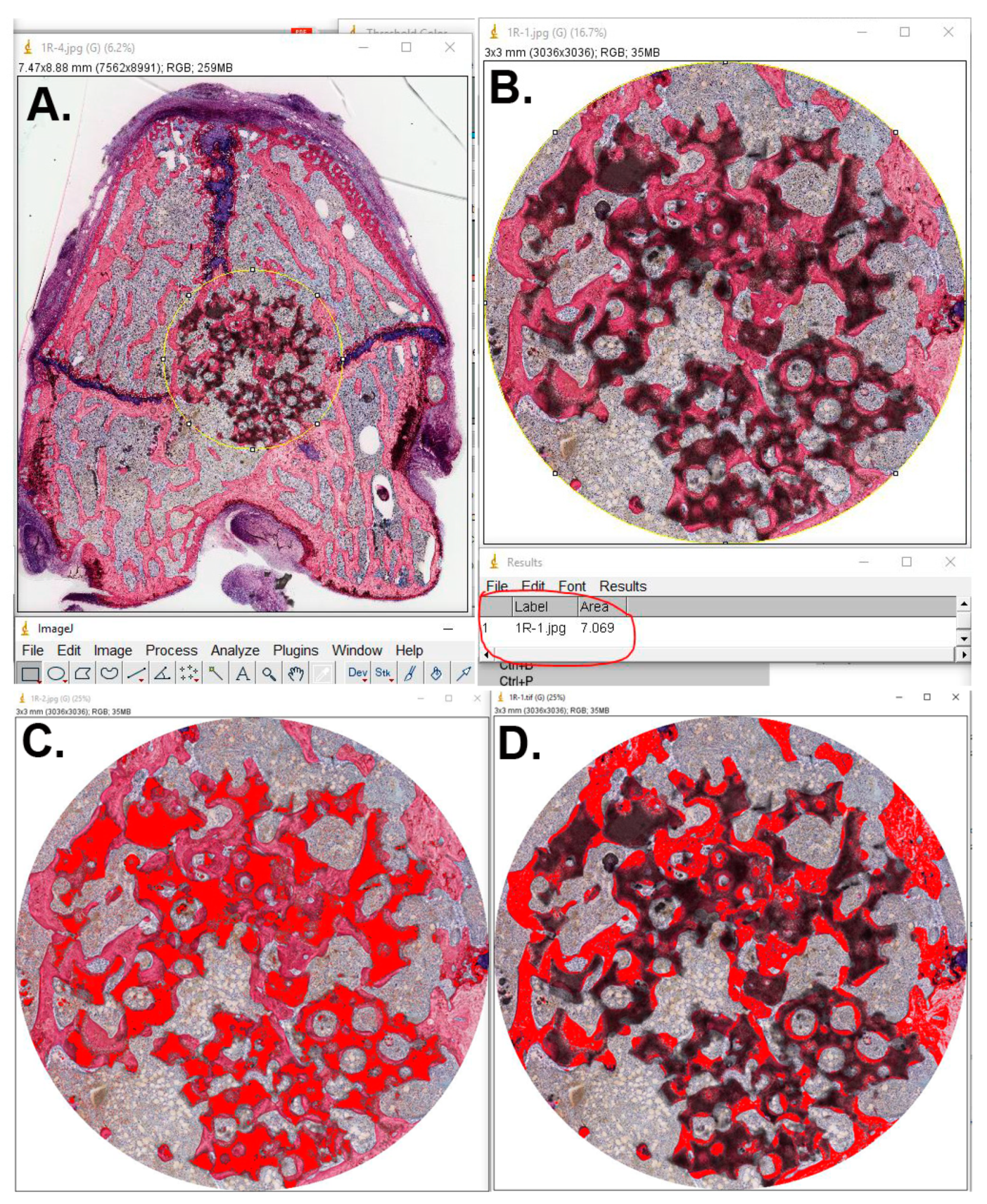 Applsci 10 01651 g003