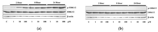 Applsci 10 01737 g003a Applsci 10 01737 g003a