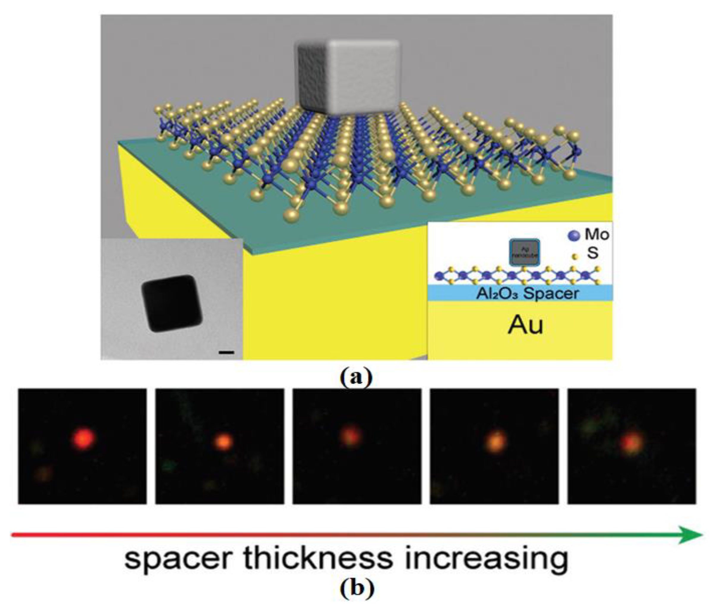 Applsci 10 01774 g017 Applsci 10 01774 g017